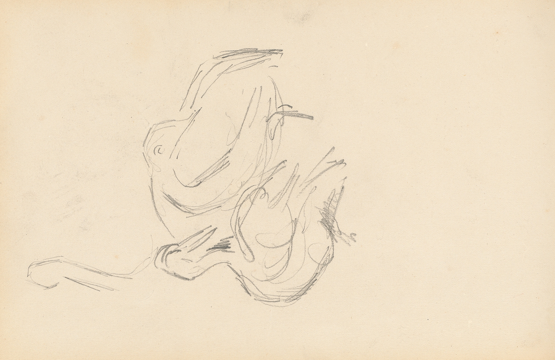 Pelicans (1877-1880)