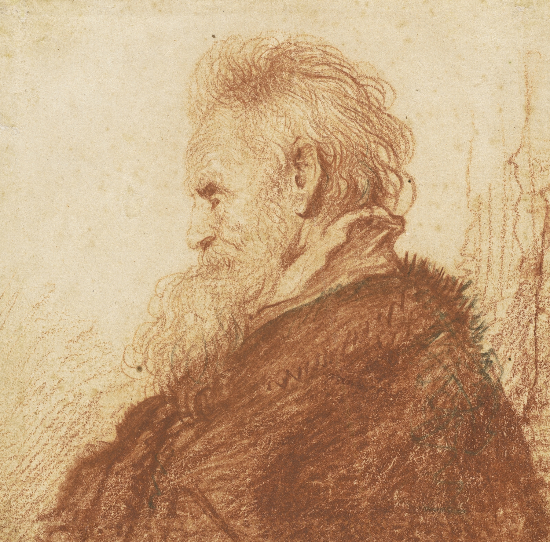 Head of an Old Man (recto) (c. 1631)
