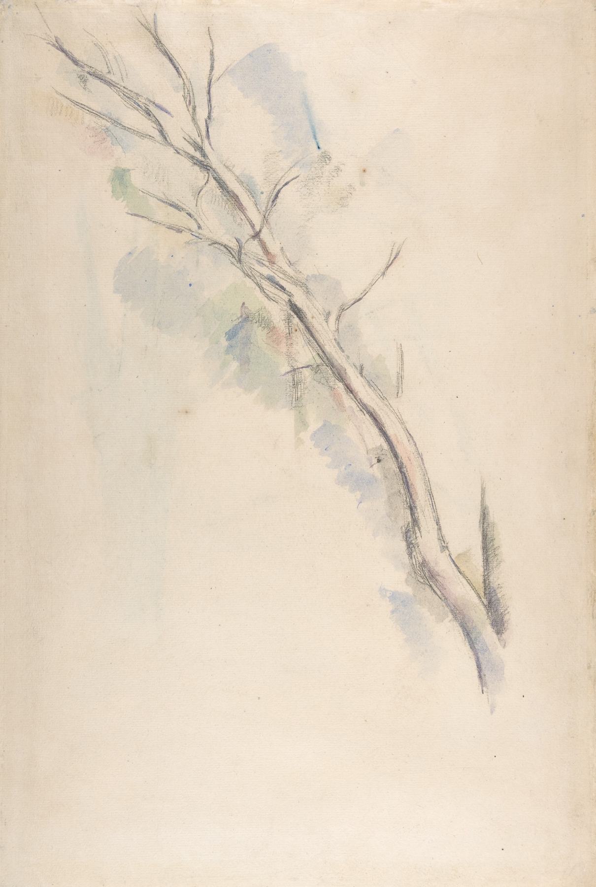 Study of a tree (1887–90)