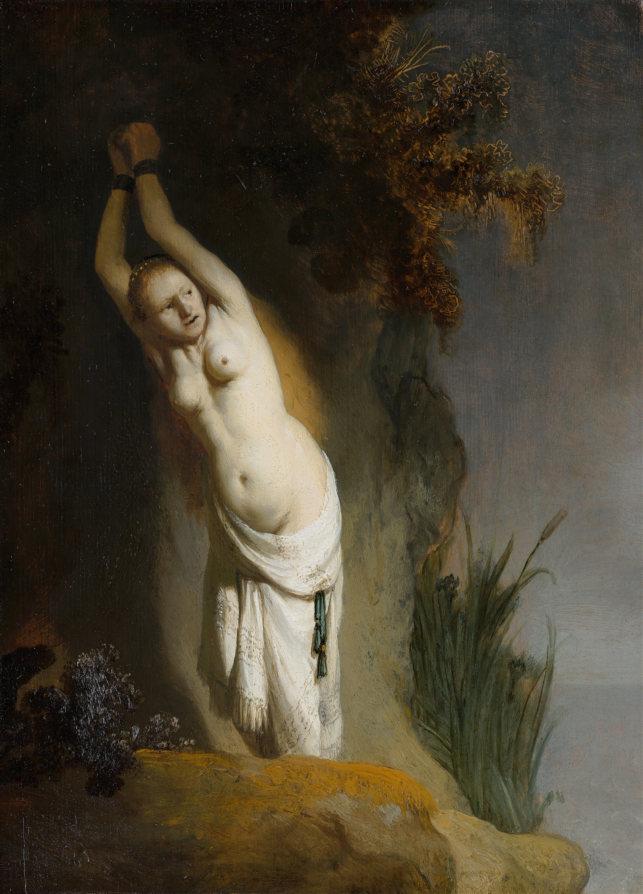 Andromeda (C. 1630)