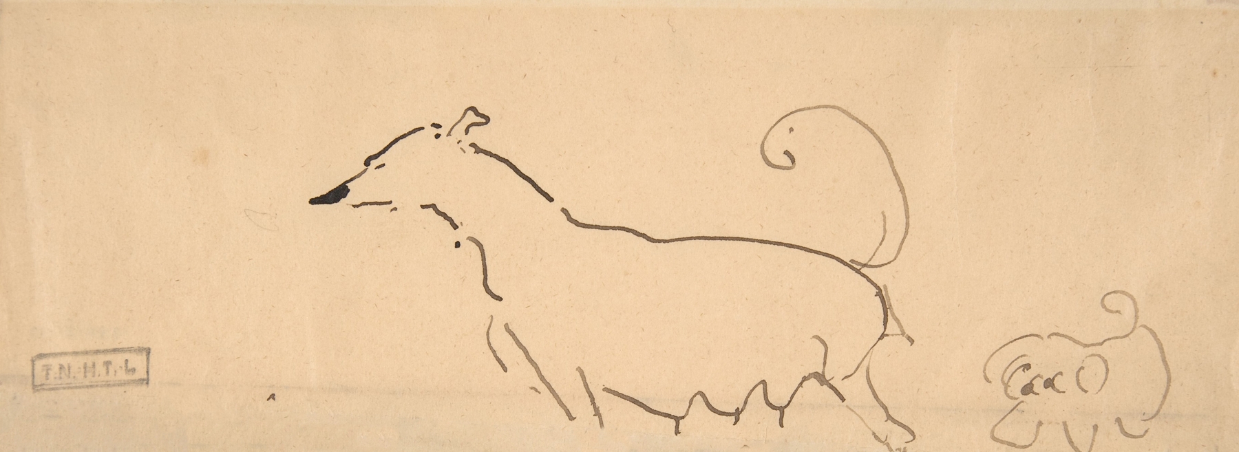 Two Dogs