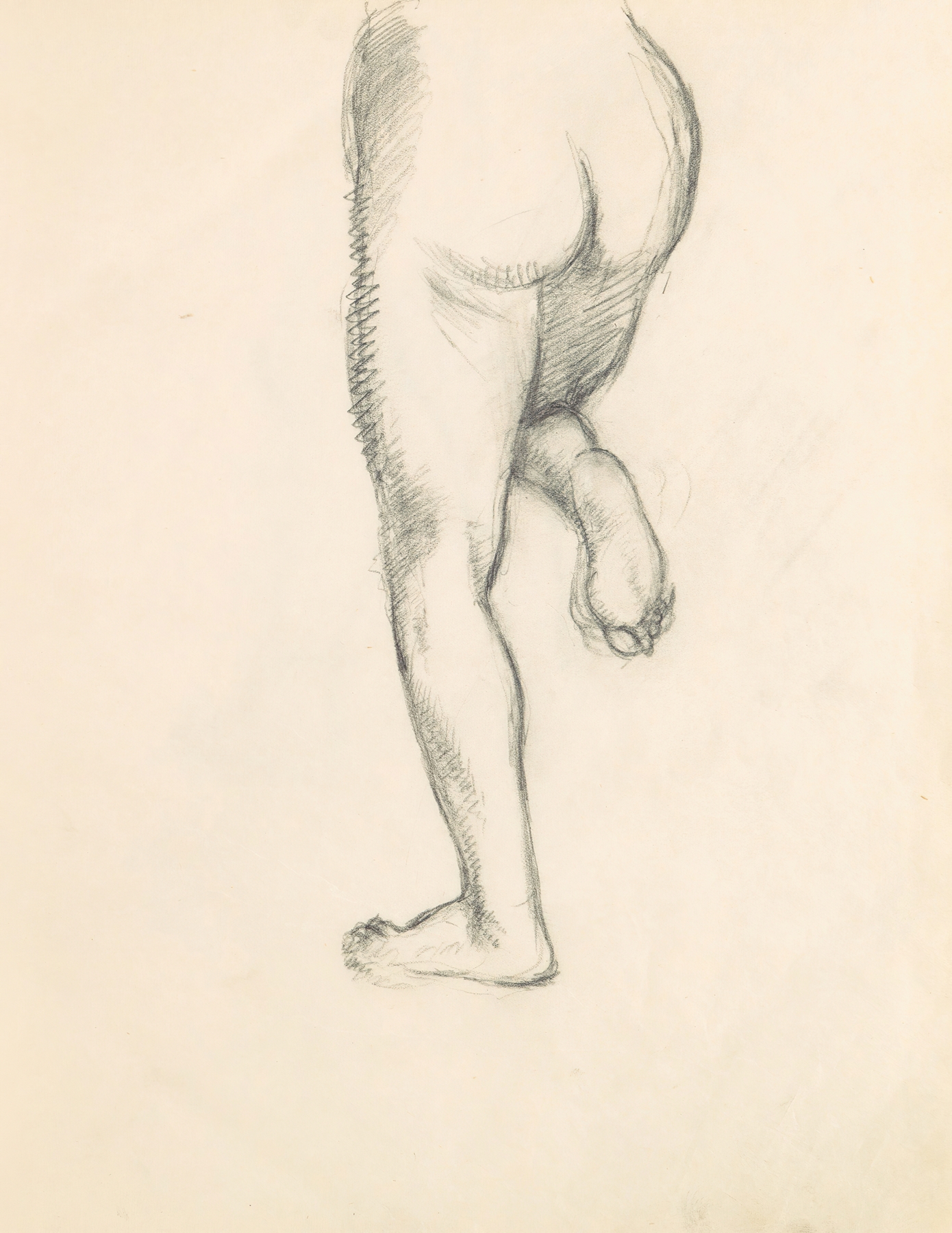 Figure Studies 14 (1882–85)
