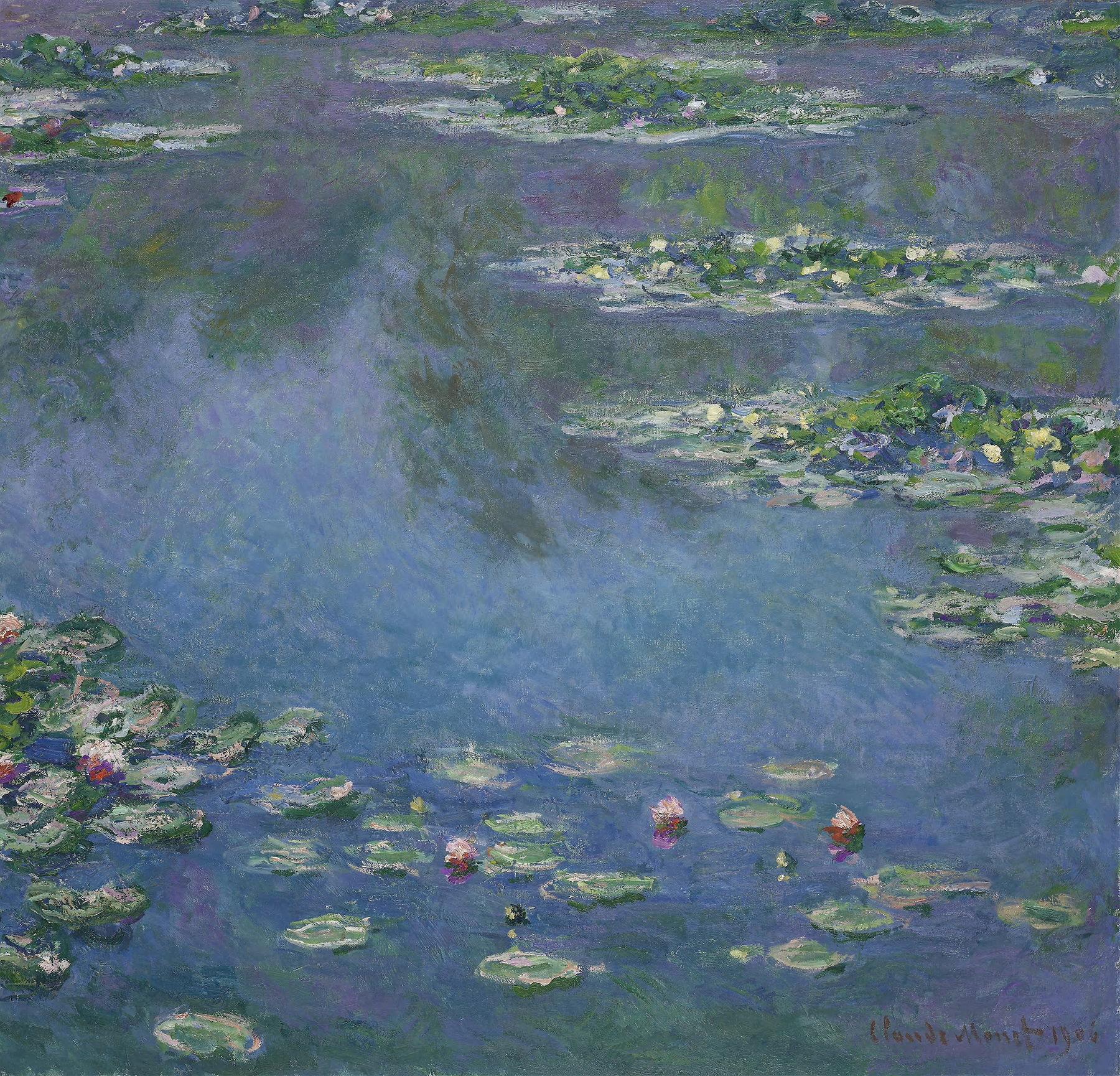 Water Lilies (1906)