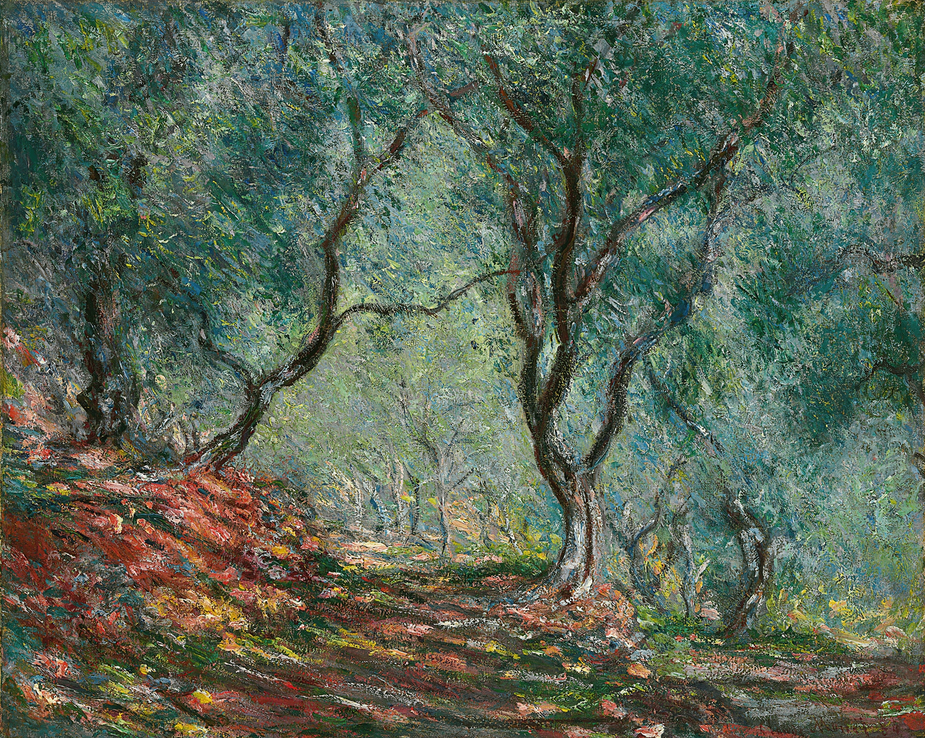 Bois d’oliviers au jardin Moreno (1884)