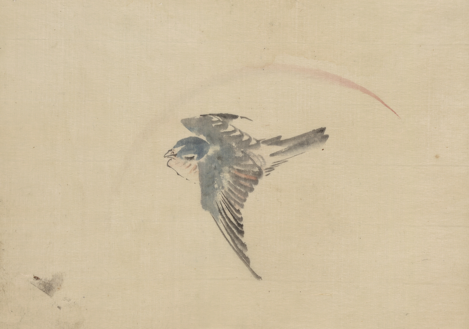 A bird flying to the left, seen from above (1830-1850)