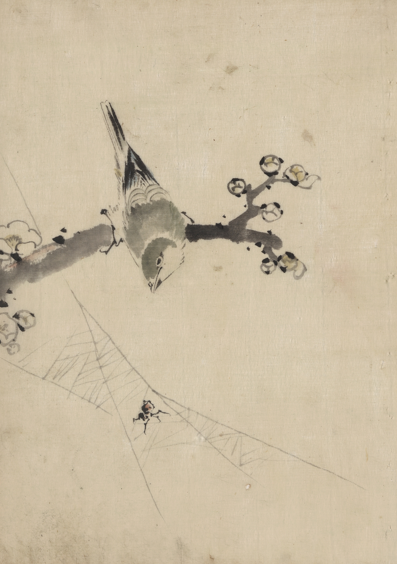 A bird perched on a tree branch with blossoms, watching a spider on a web (1830-1850)
