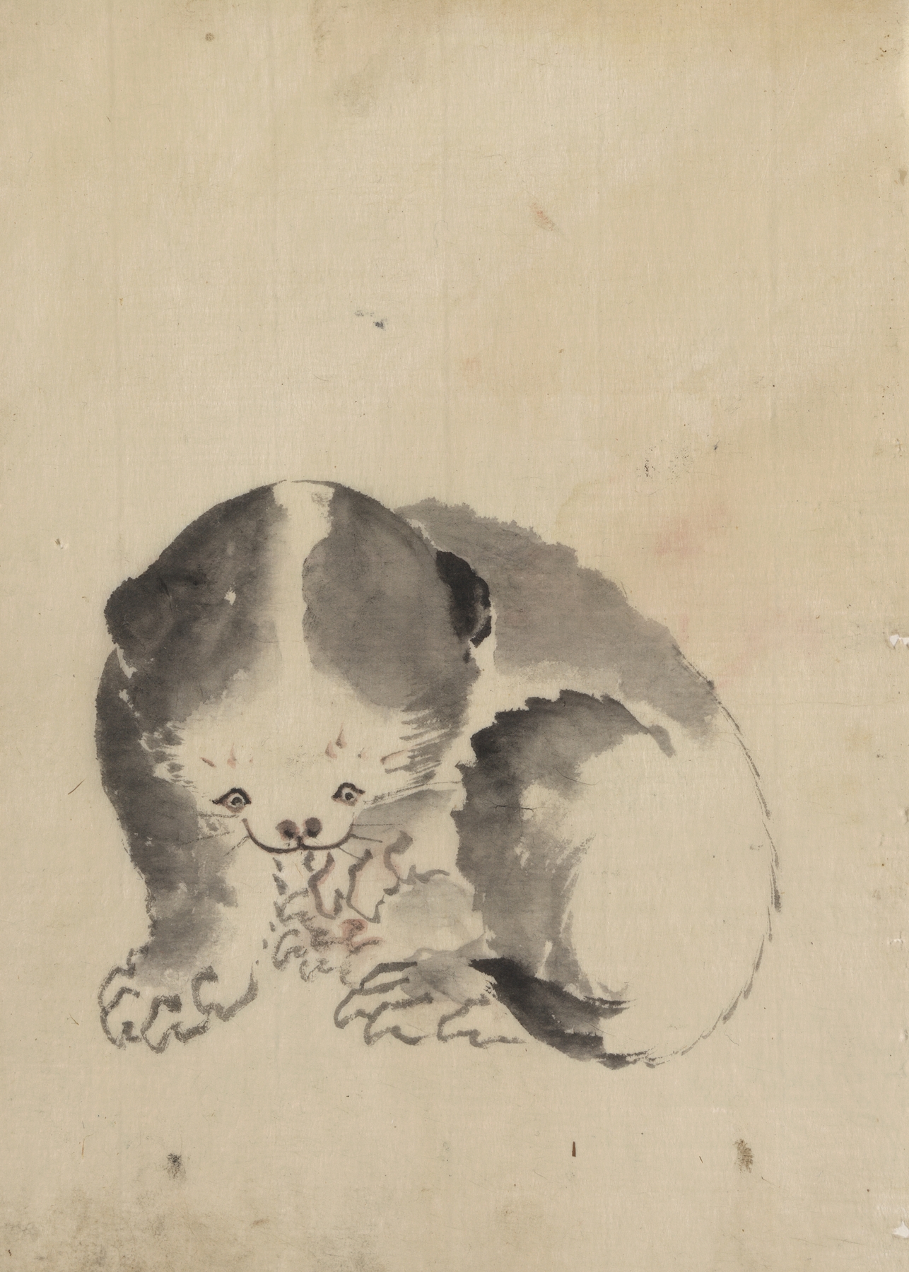 A cat cleaning its claws (1830-1850)