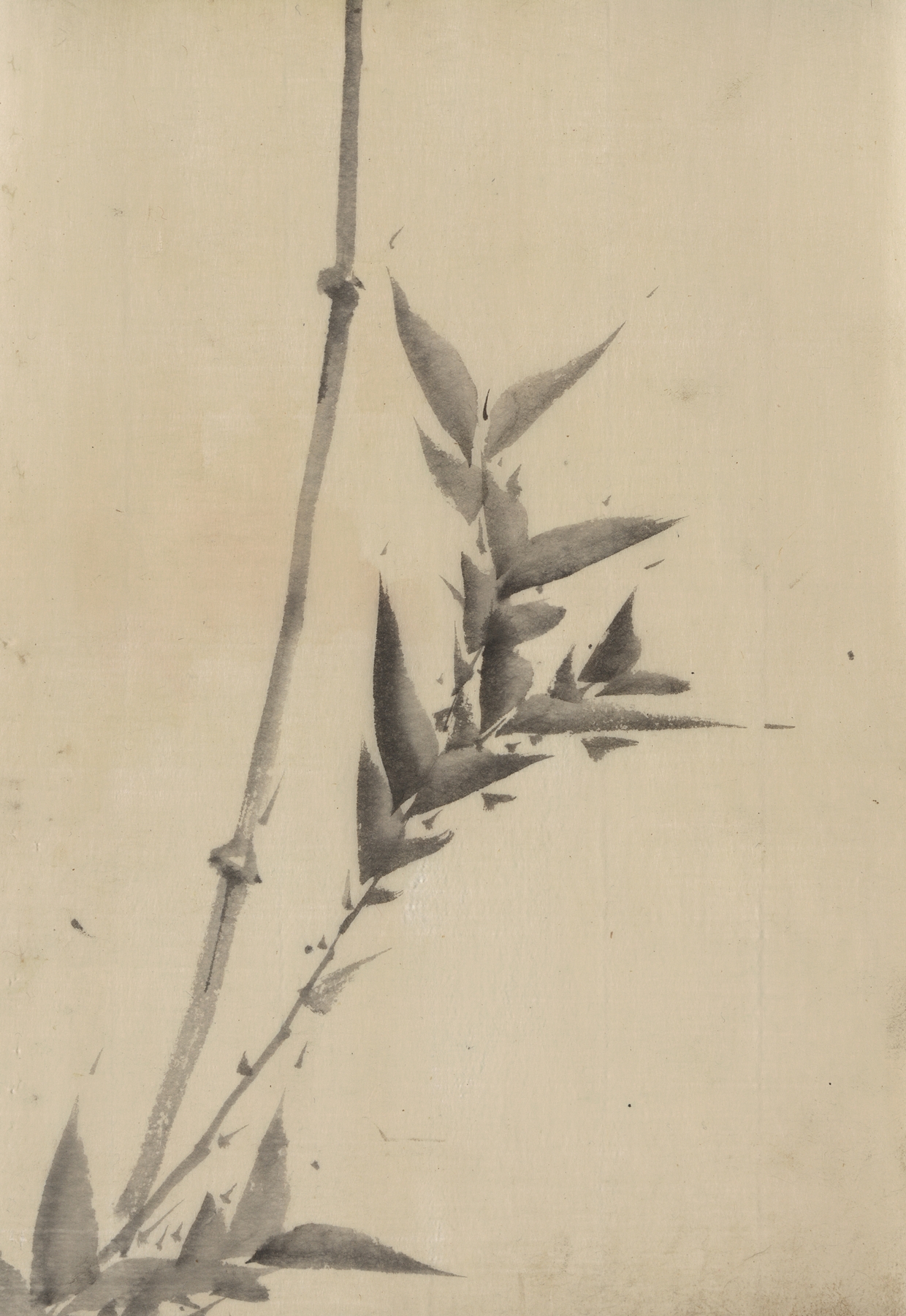 Bamboo shoots (1830-1850)