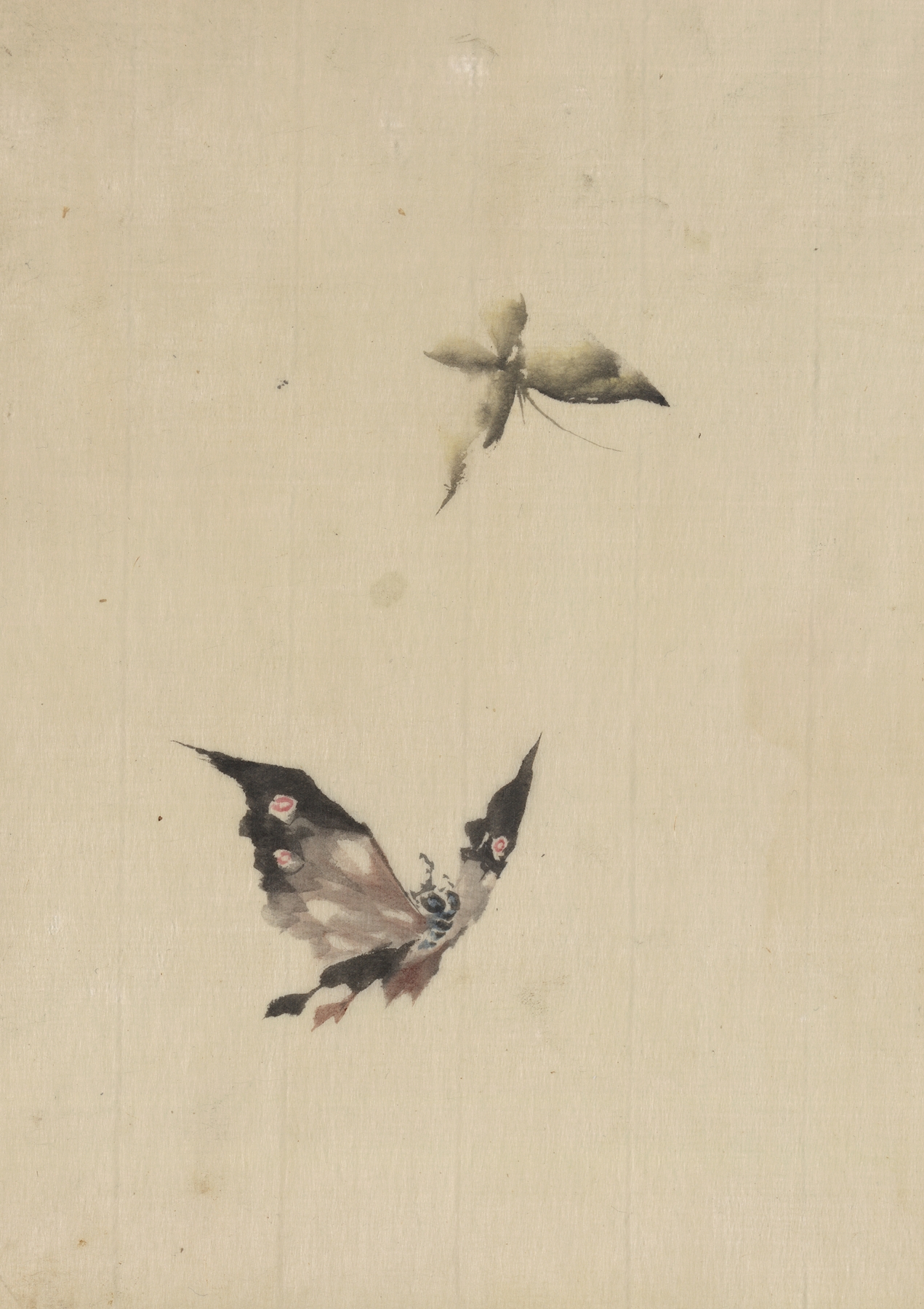 Butterfly and moth (1830-1850)