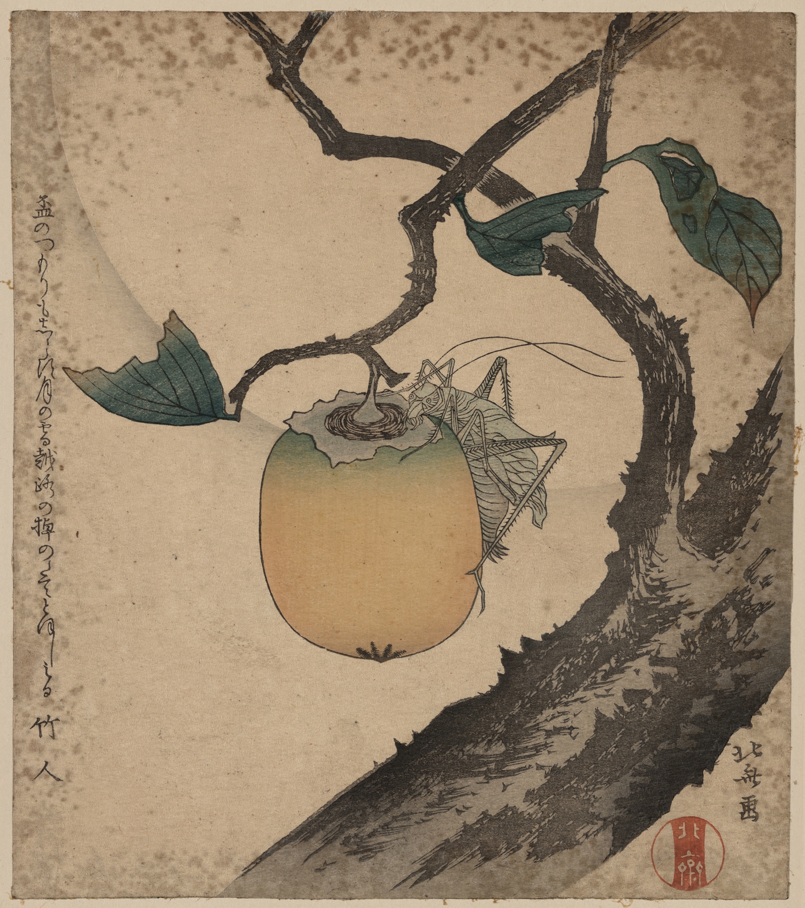 Kaki ni kirigirisu (1870-1900)