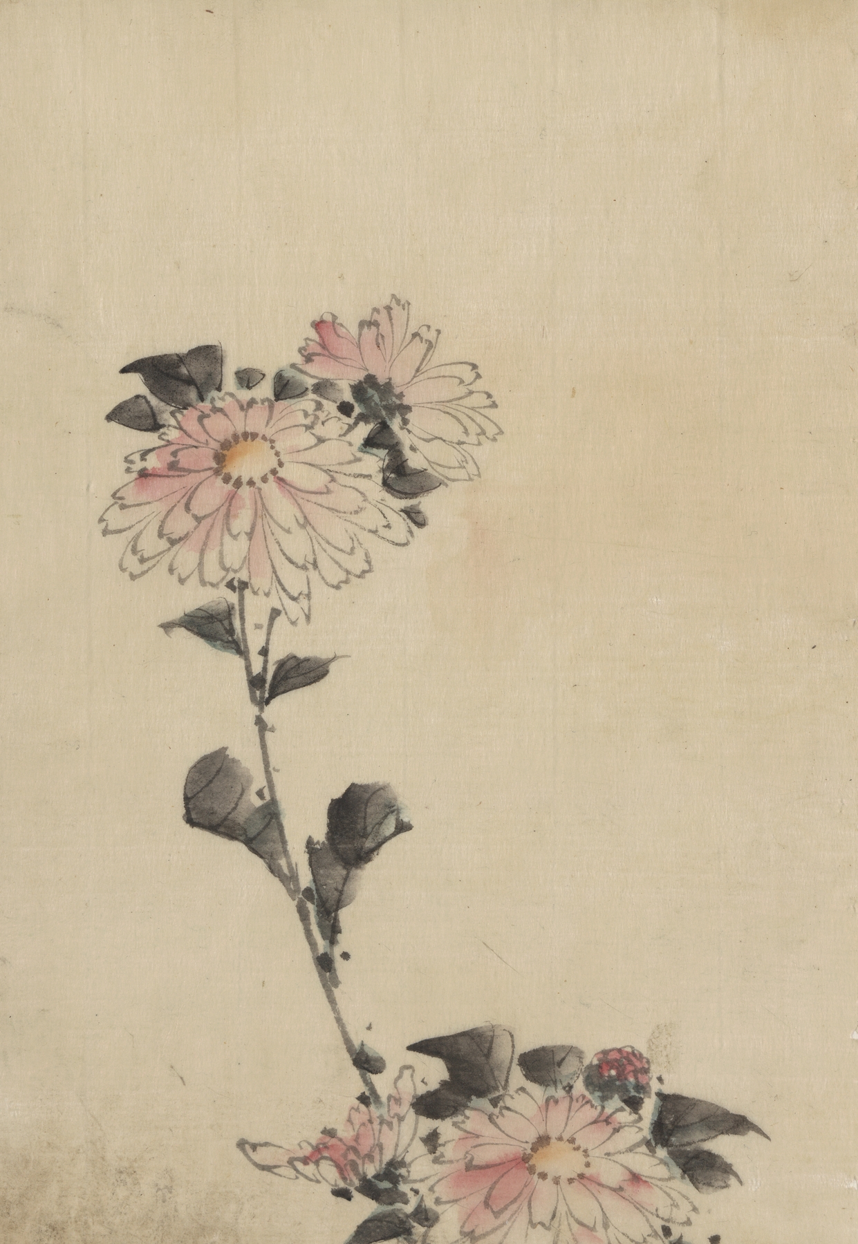 Pink flower blossoms on low stalk and two on a tall stalk (1830-1850)