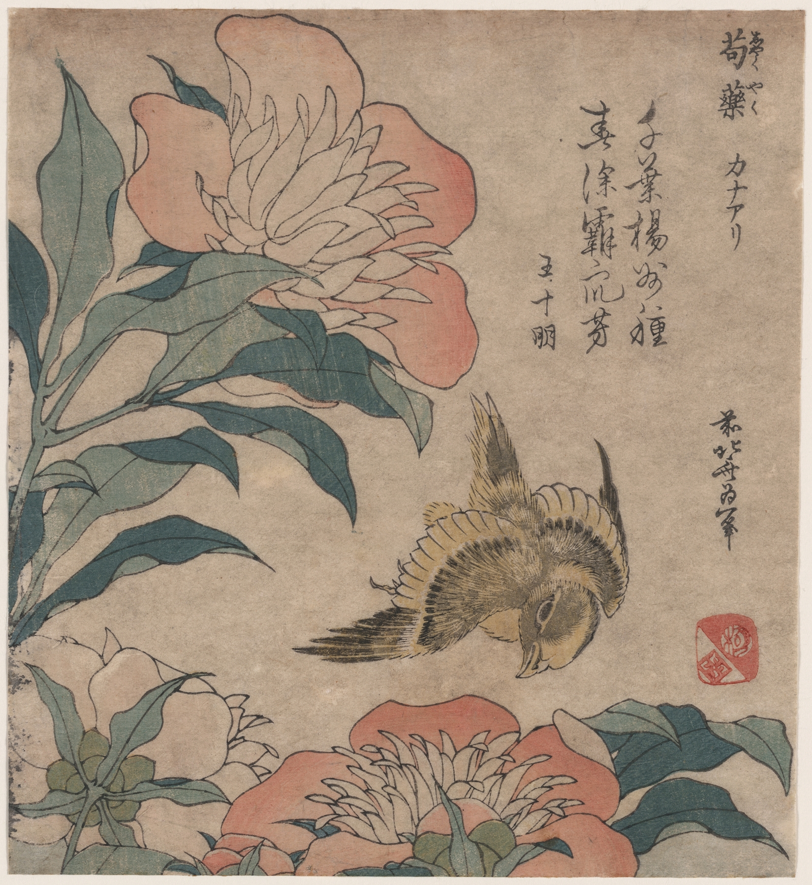 Shakuyaku kana ari (1833)