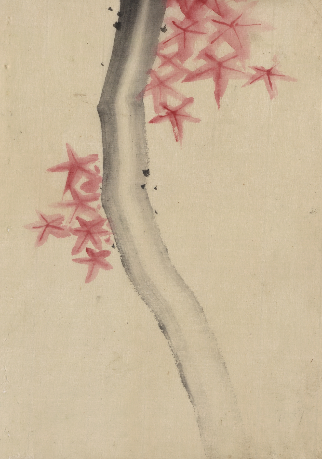 Unidentified, possibly a tree branch with red star-shaped leaves or blossoms (1830-1850)