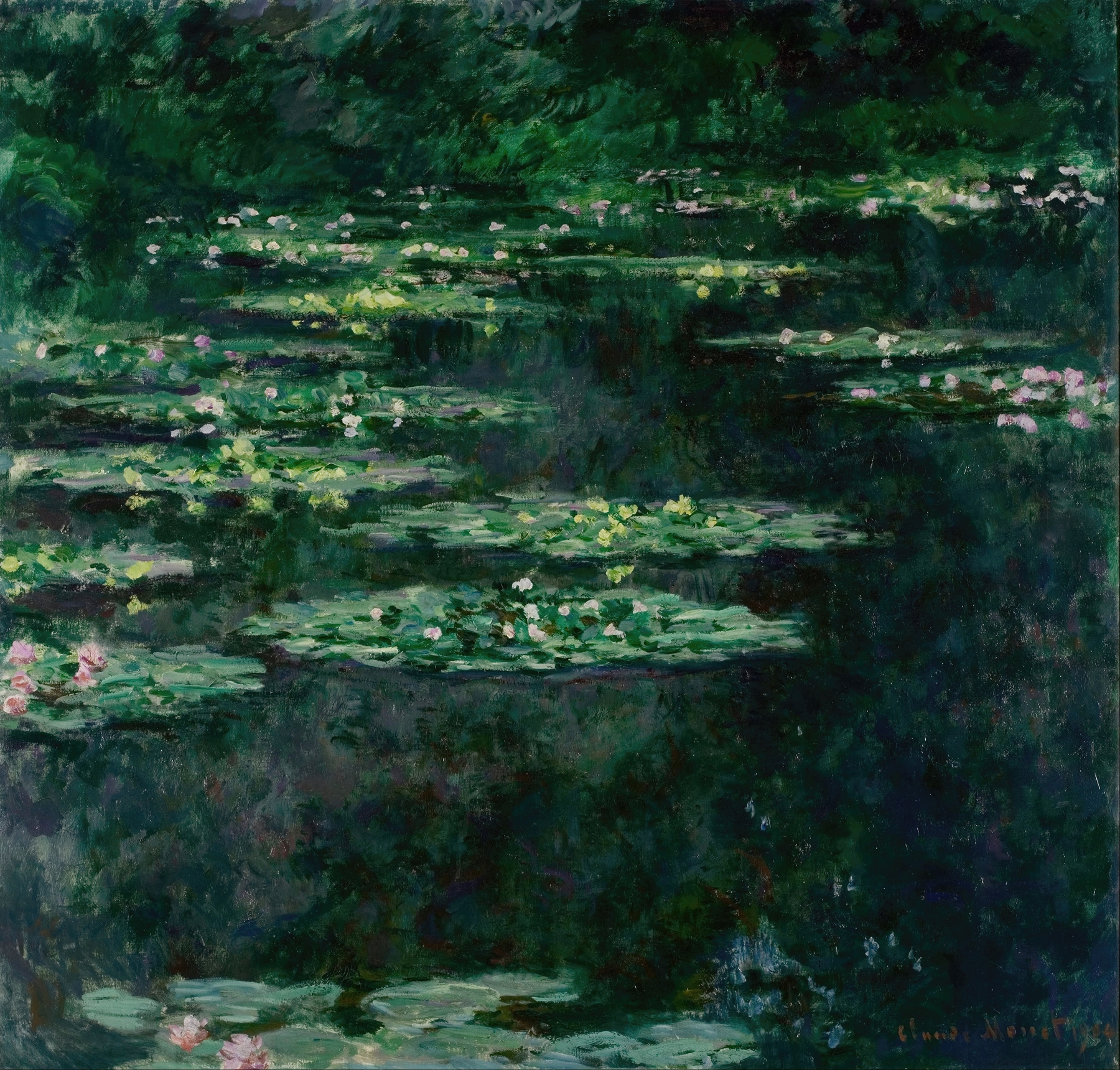Waterlilies (1904)