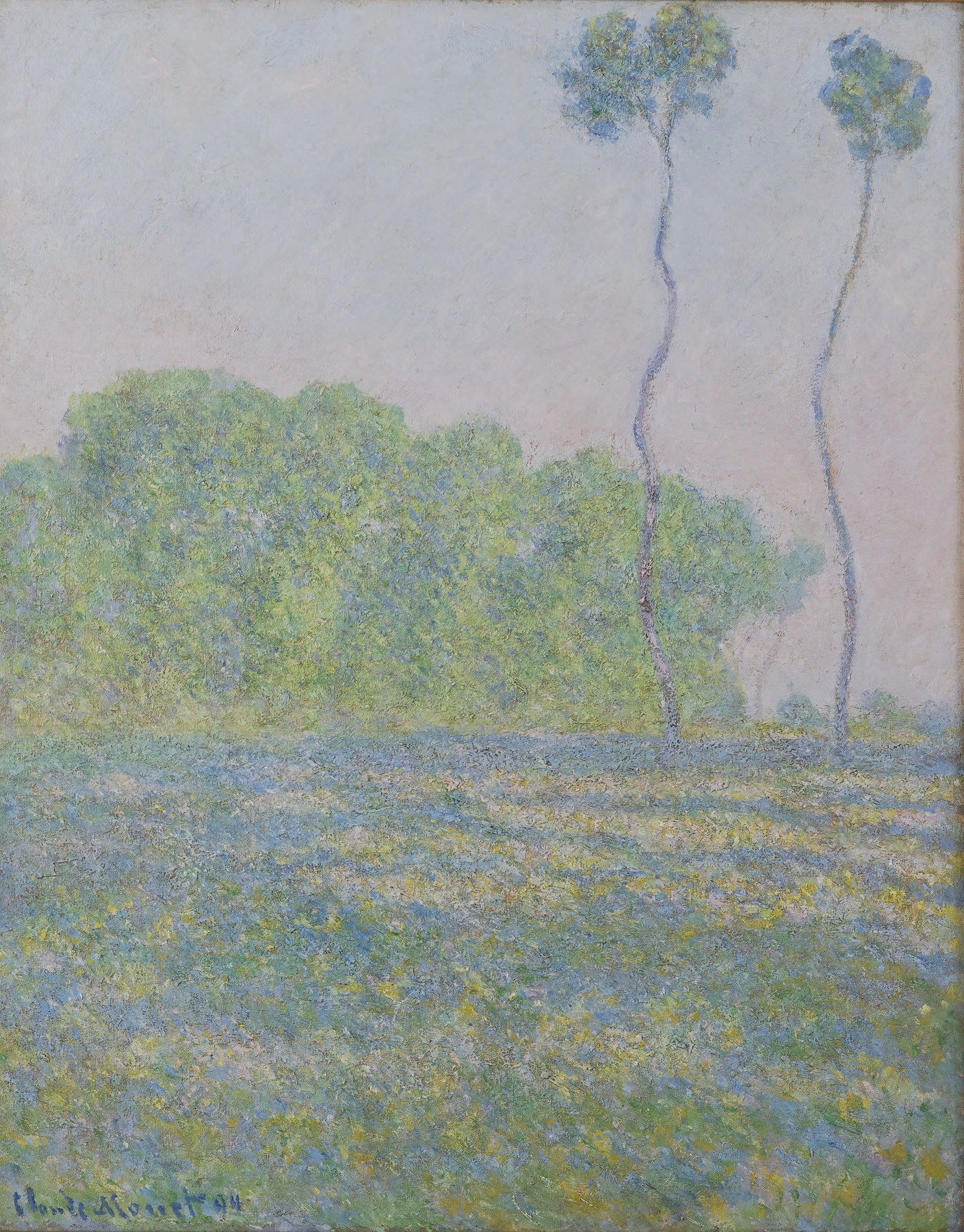 Meadow at Giverny (1894)