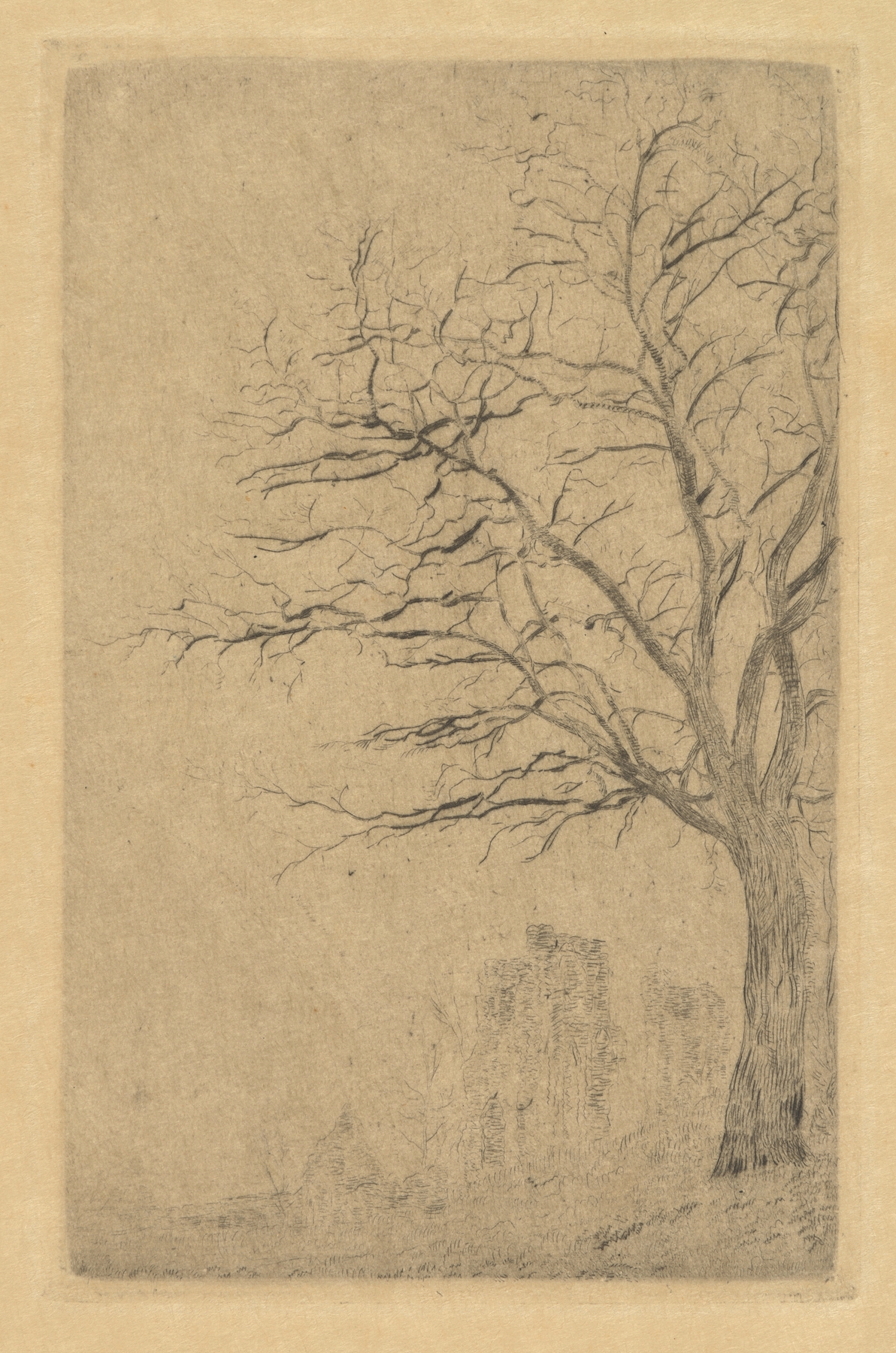 L’acacia (1888)