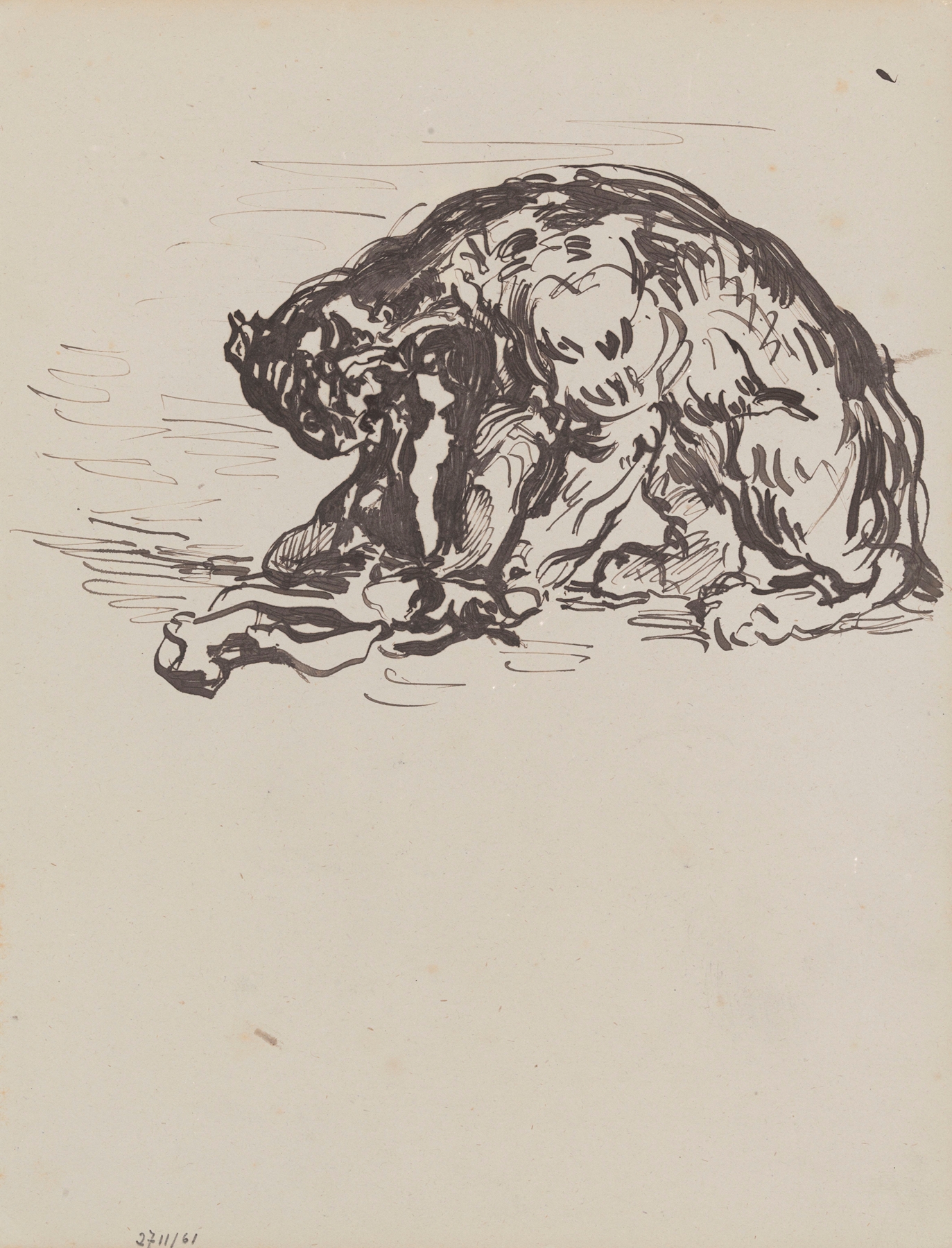 Lioness Devouring her Prey