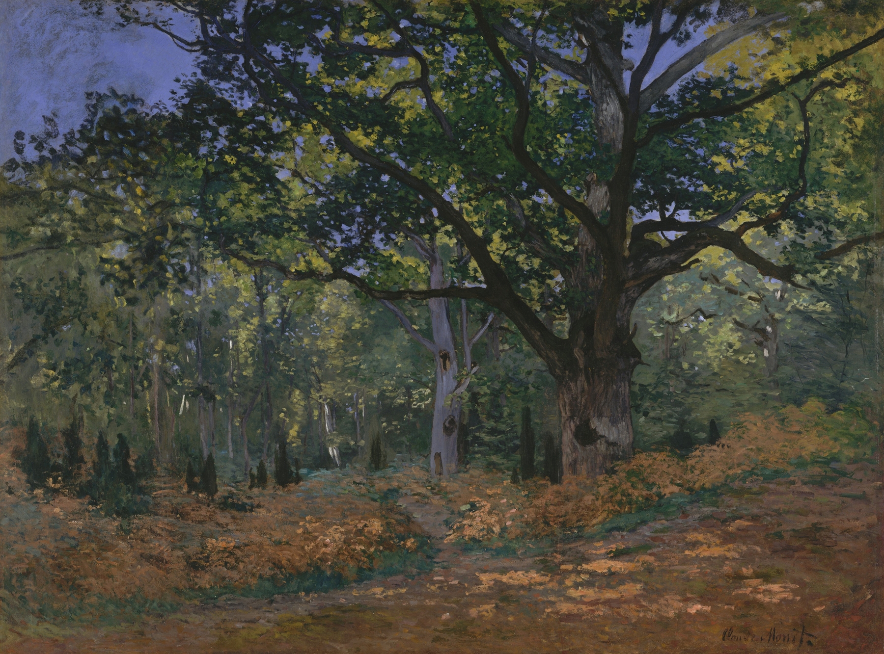 The Bodmer Oak, Fontainebleau Forest (1865)