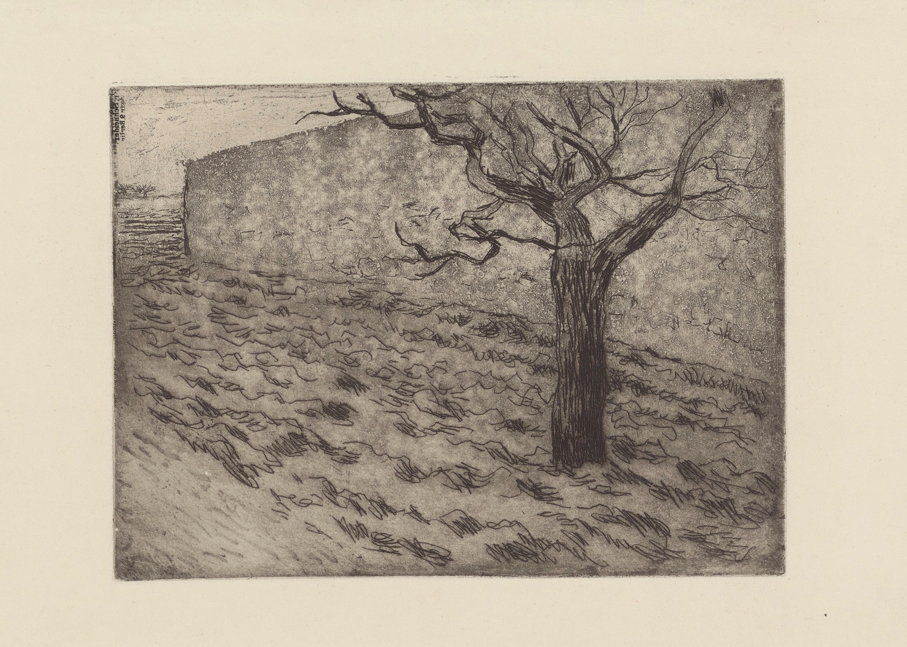 Arbre et terrain labouré (1879)