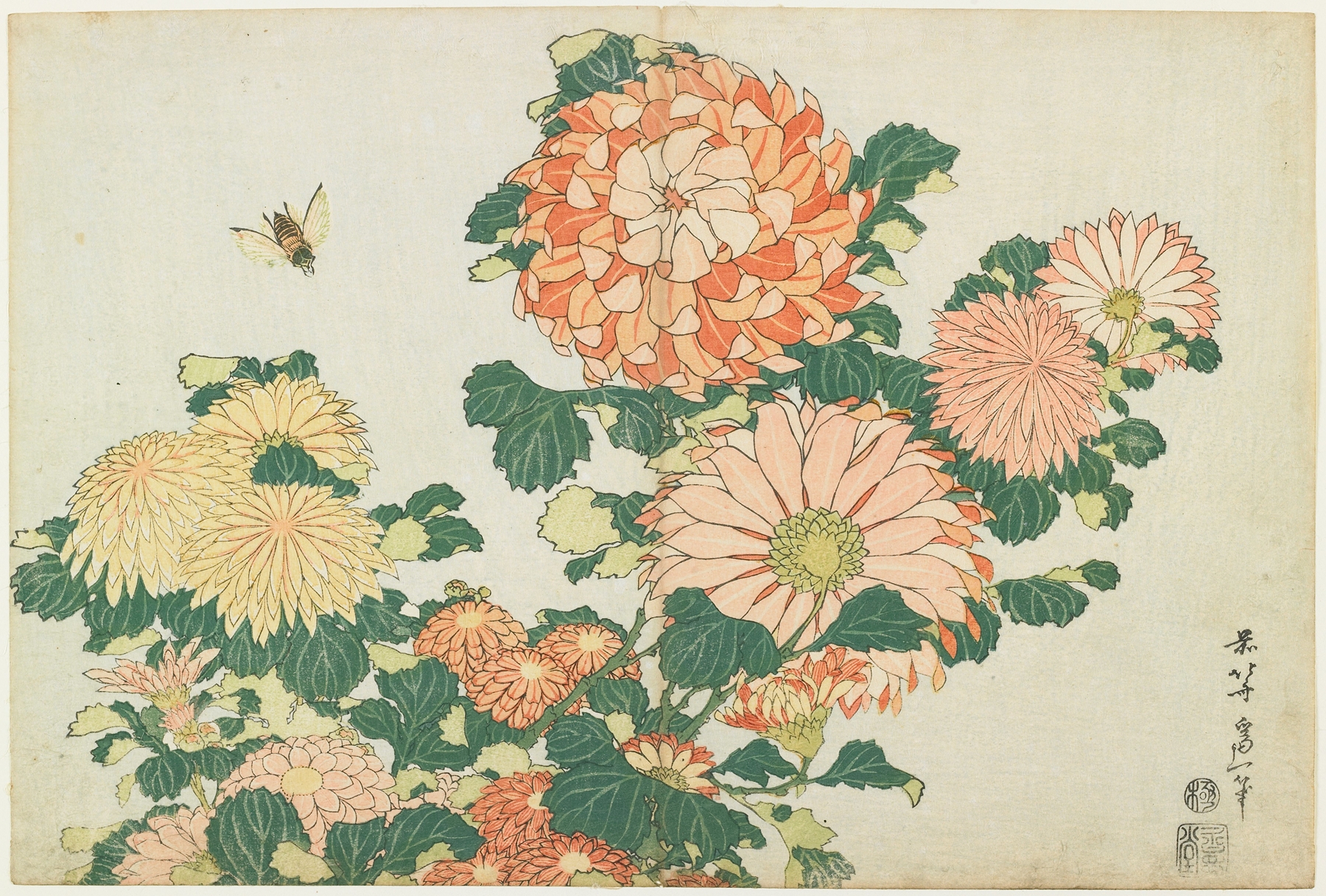 Chrysanthemums and Horsefly (c. 1833–34)