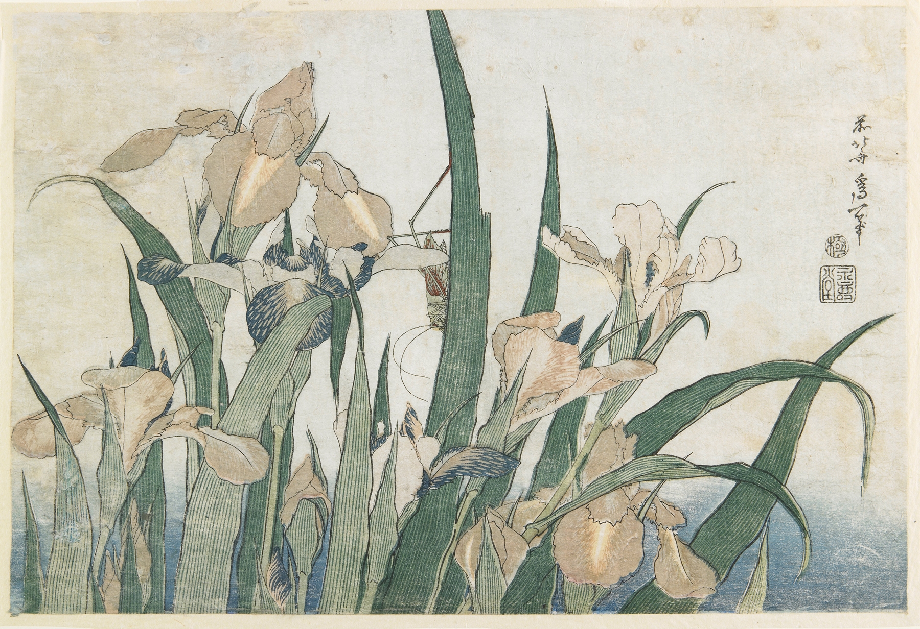 Irises and Grasshopper (c. 1833–34)