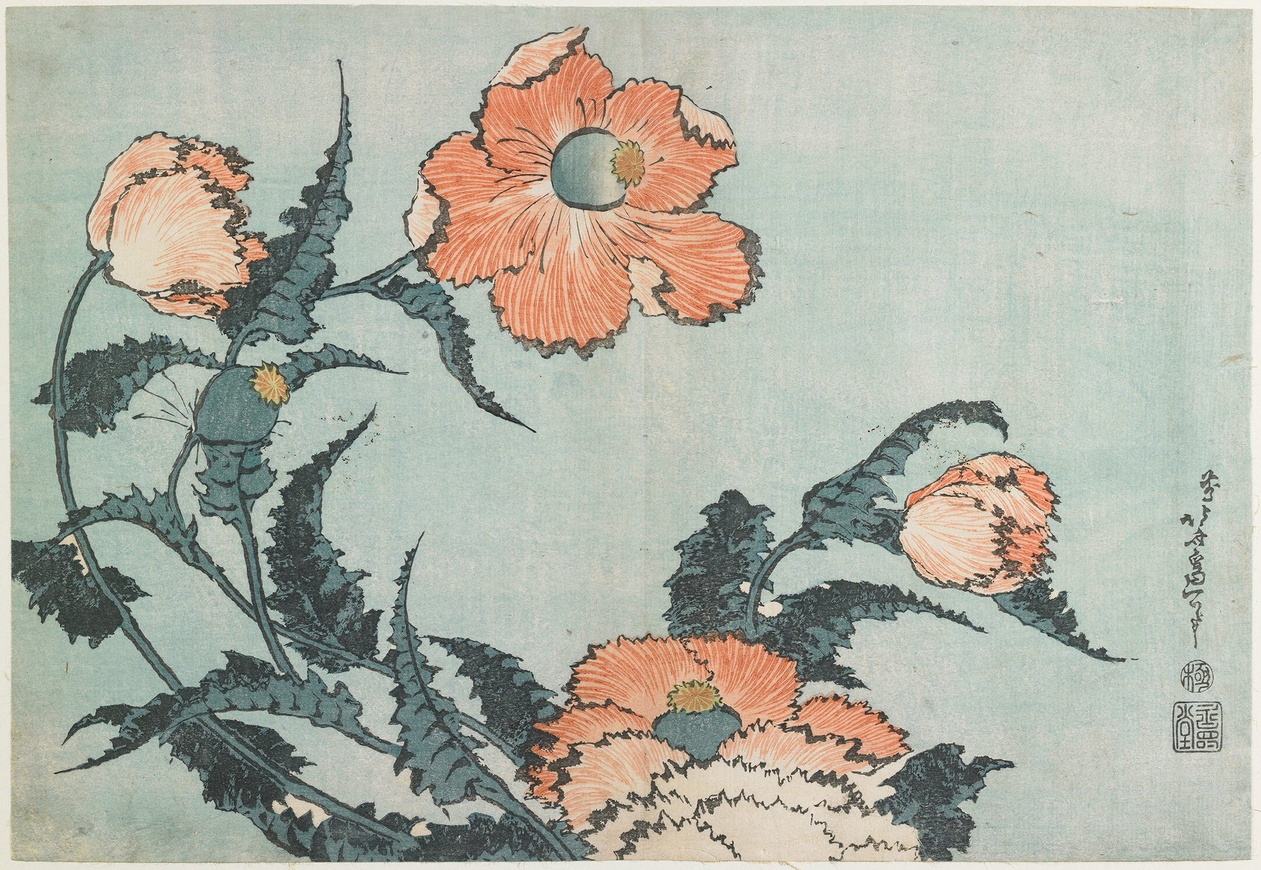 Poppies (c. 1833–34)