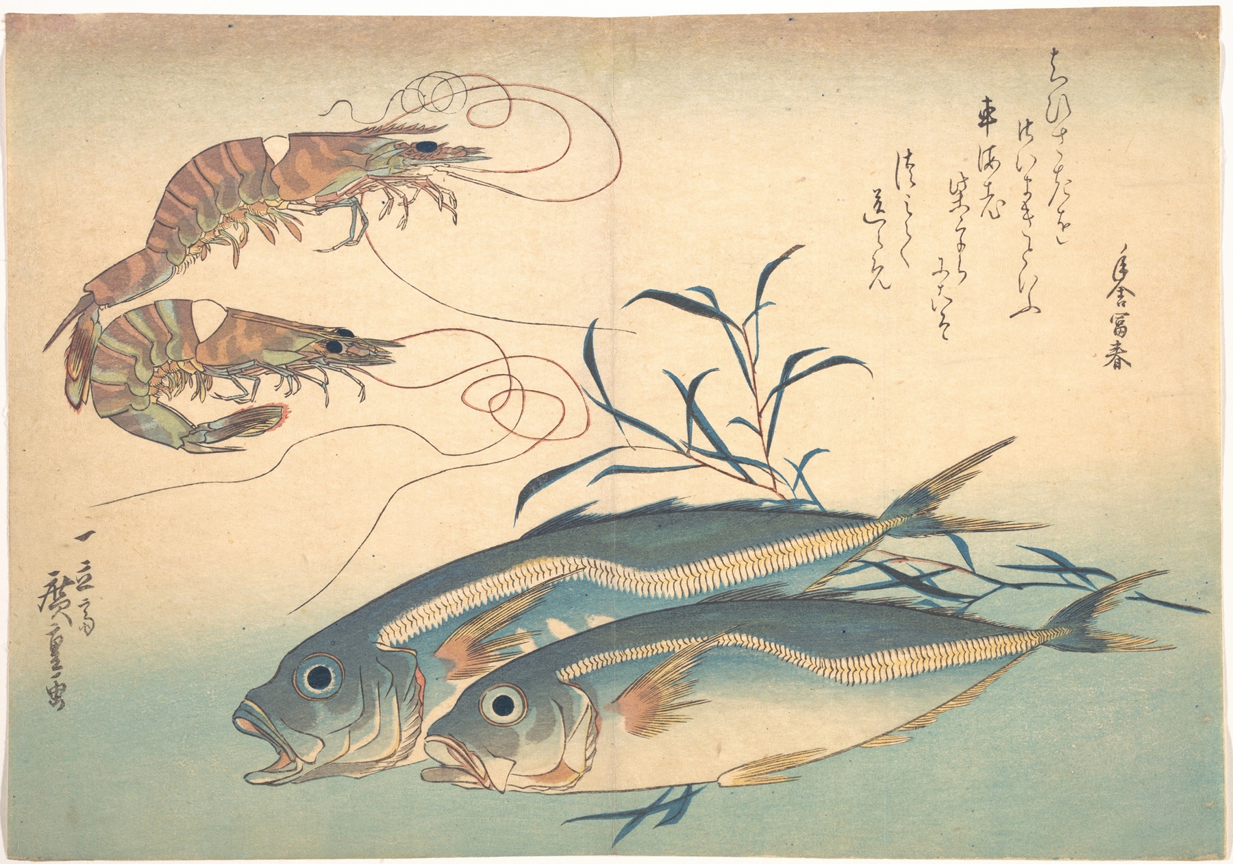 Aji Fish and Kuruma-ebi (1830s)