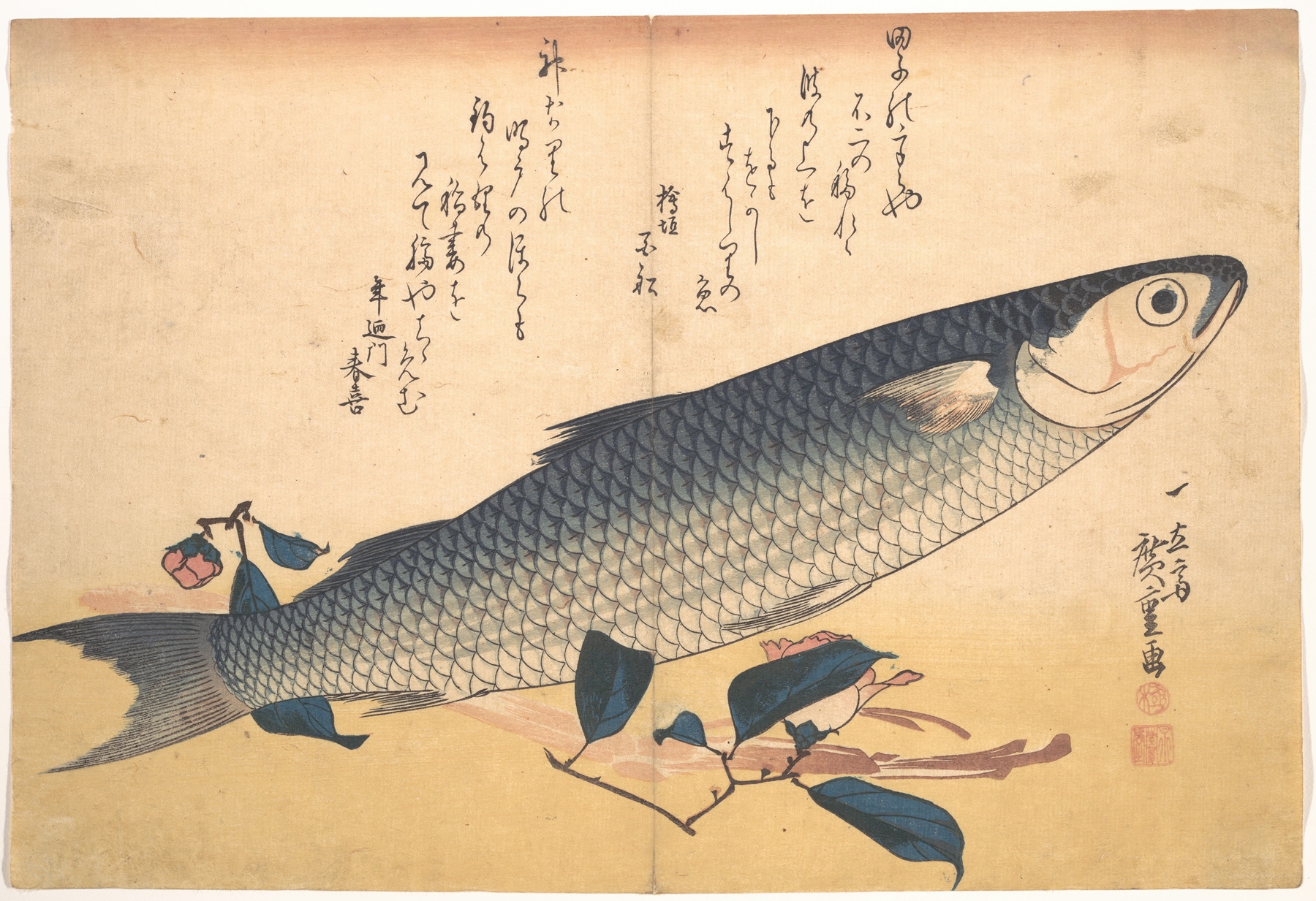 Bora Fish with Camellia (1830s)