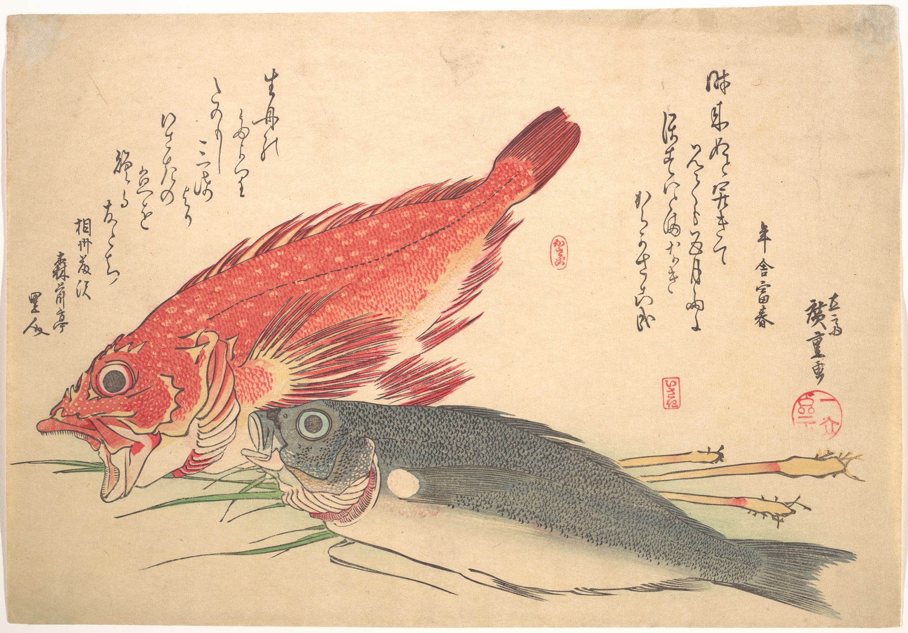 Isaki and Kasago Fish (1830s)