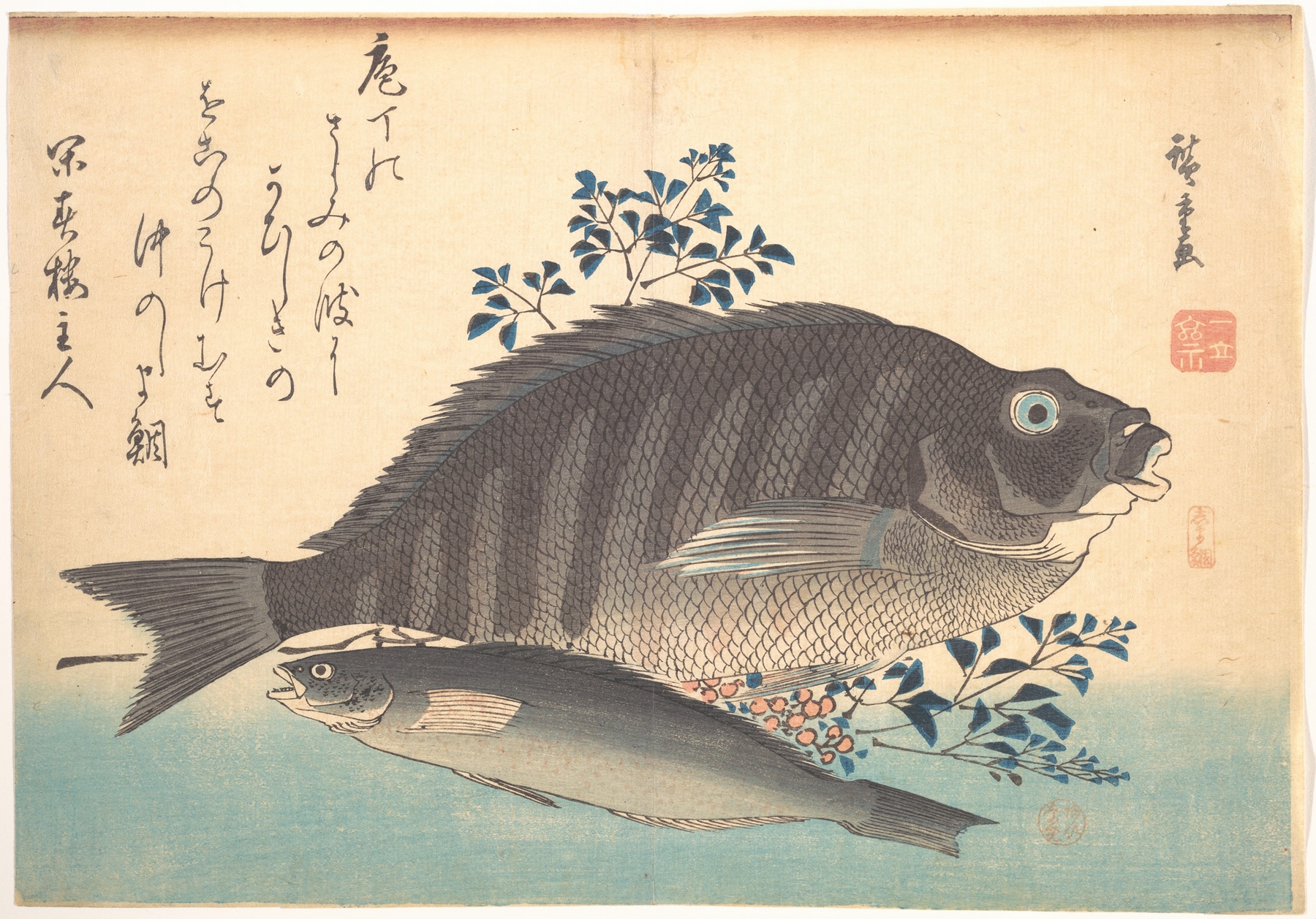 Shimadai and Ainame Fish (1830s)