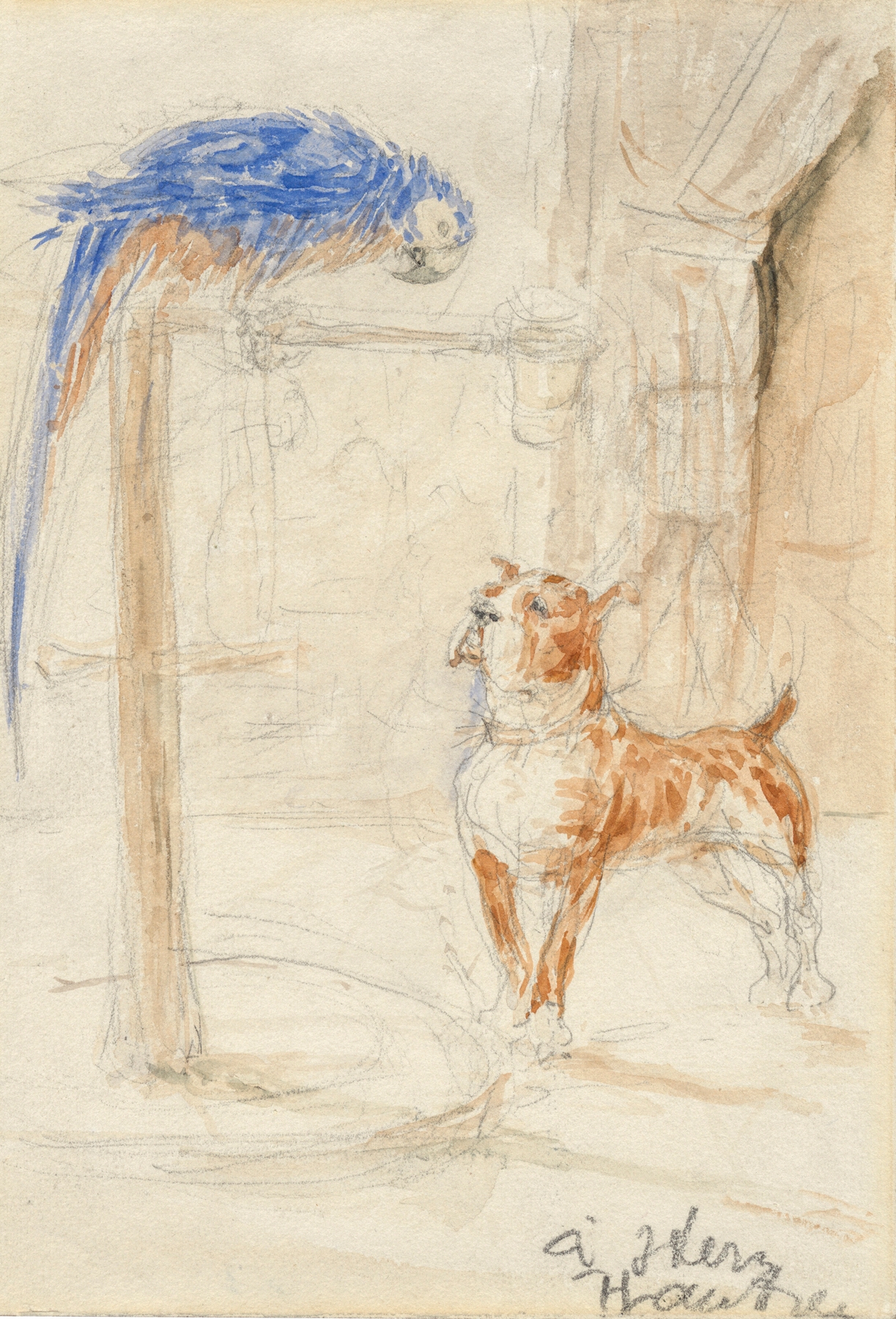 Perroquet et chien (circa 1883)