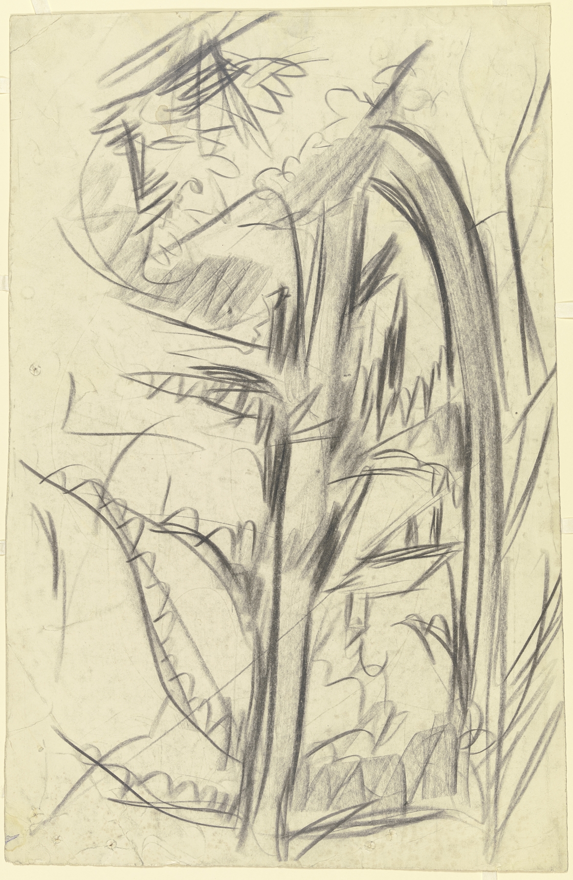 Blick durch zwei Fichten auf eine Hütte (ca. 1918)