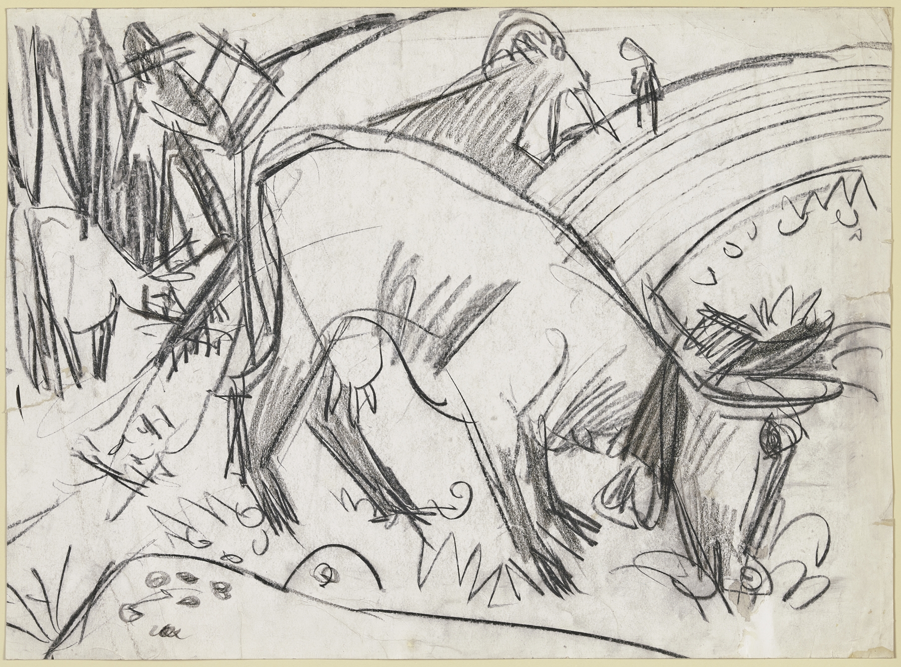 Grazing cow (ca 1918)
