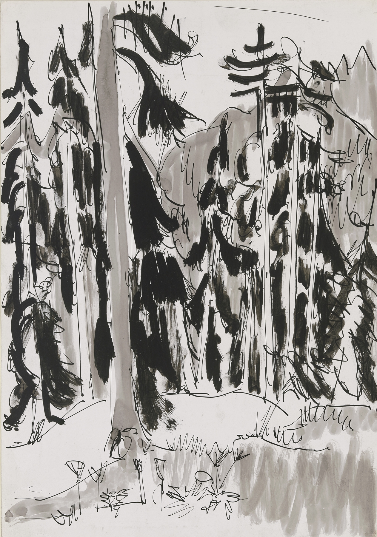 Spruces in the mountains (ca 1925)