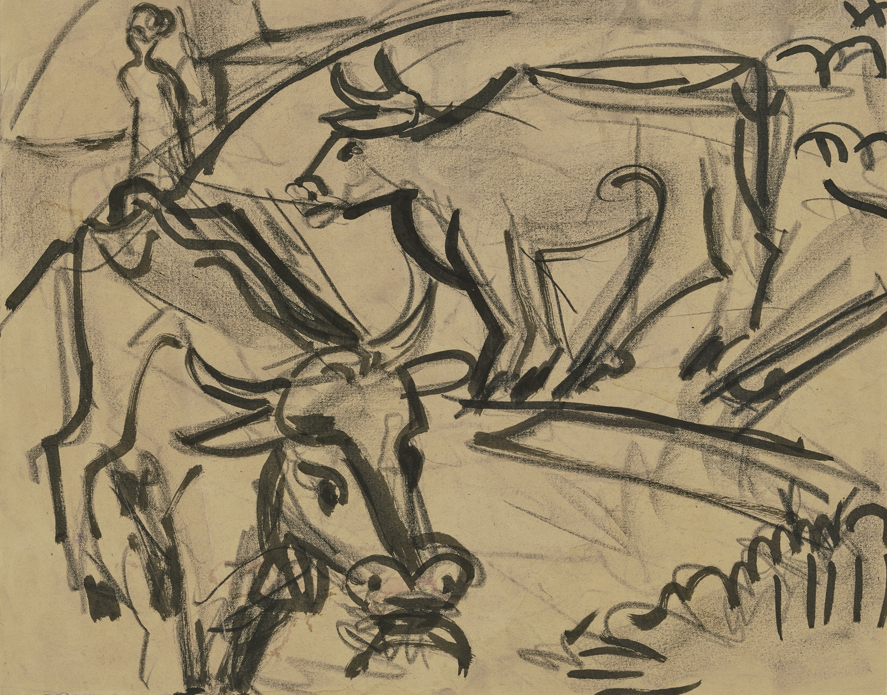 Two cows (ca 1920)
