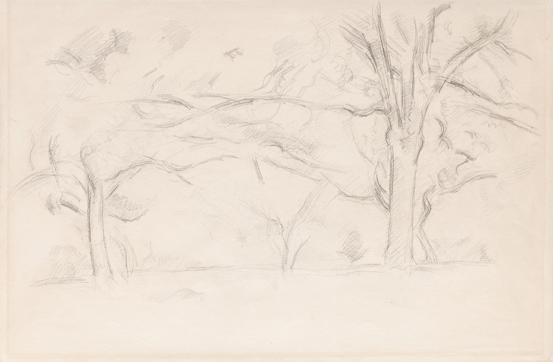 Arbres au Jas de Bouffan (circa 1892 – 1895)