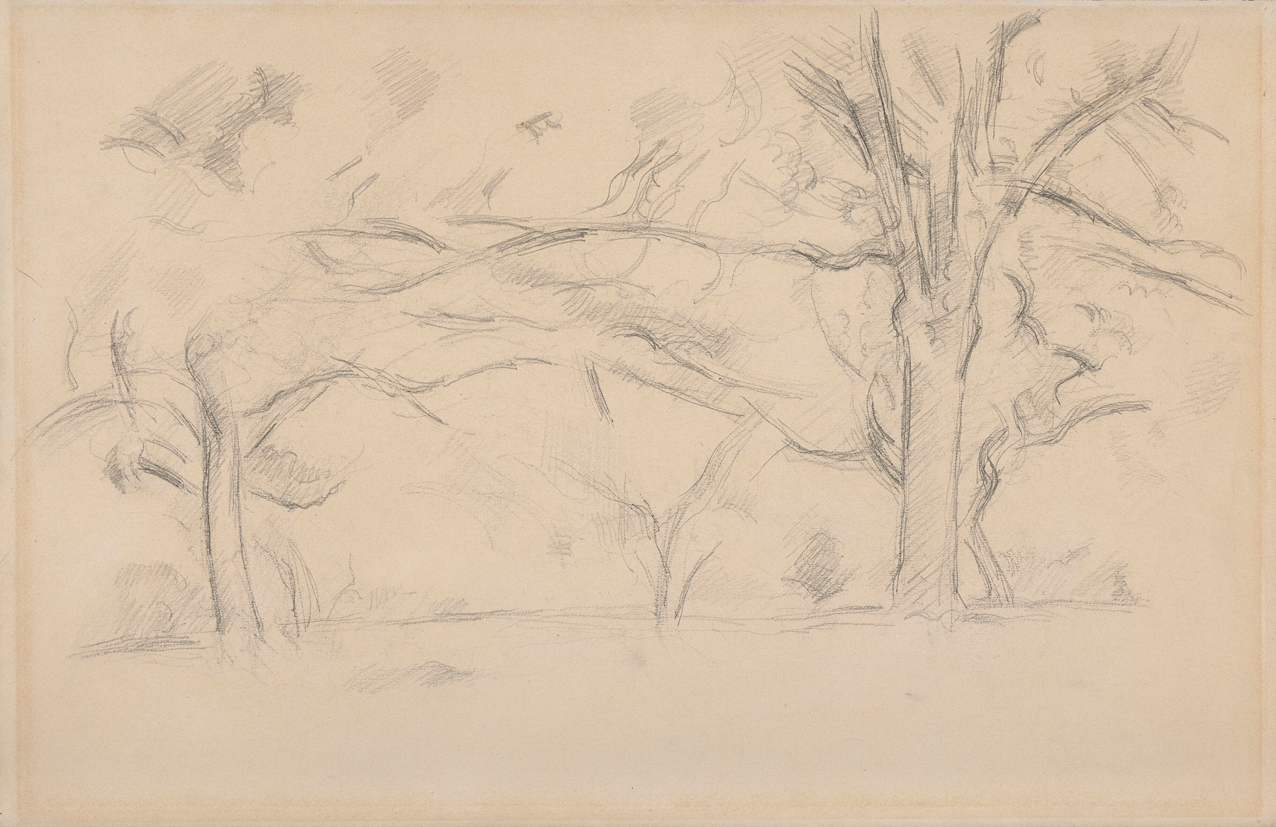 Arbres (1892-95)