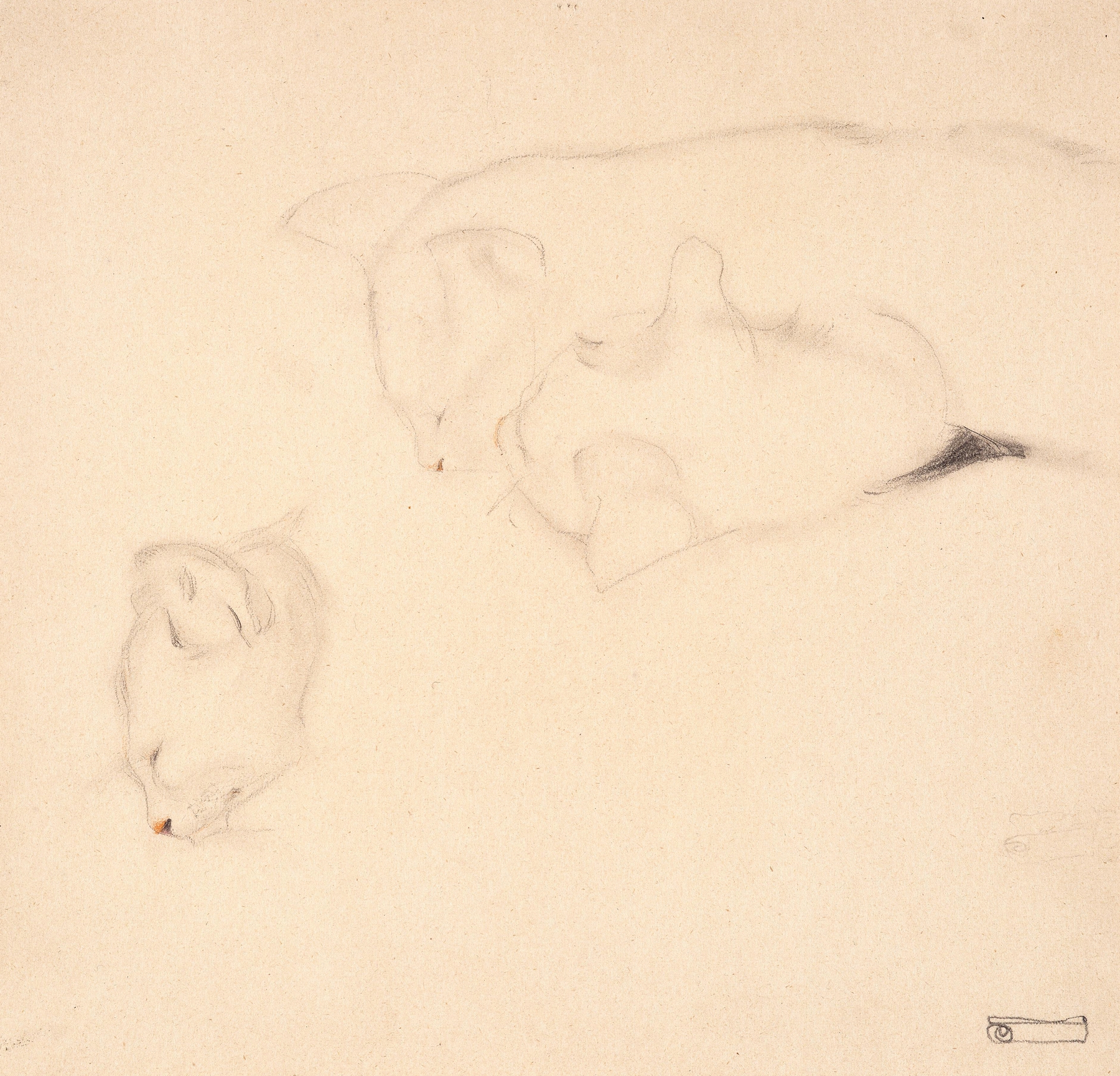 Cats. Studies (1909)