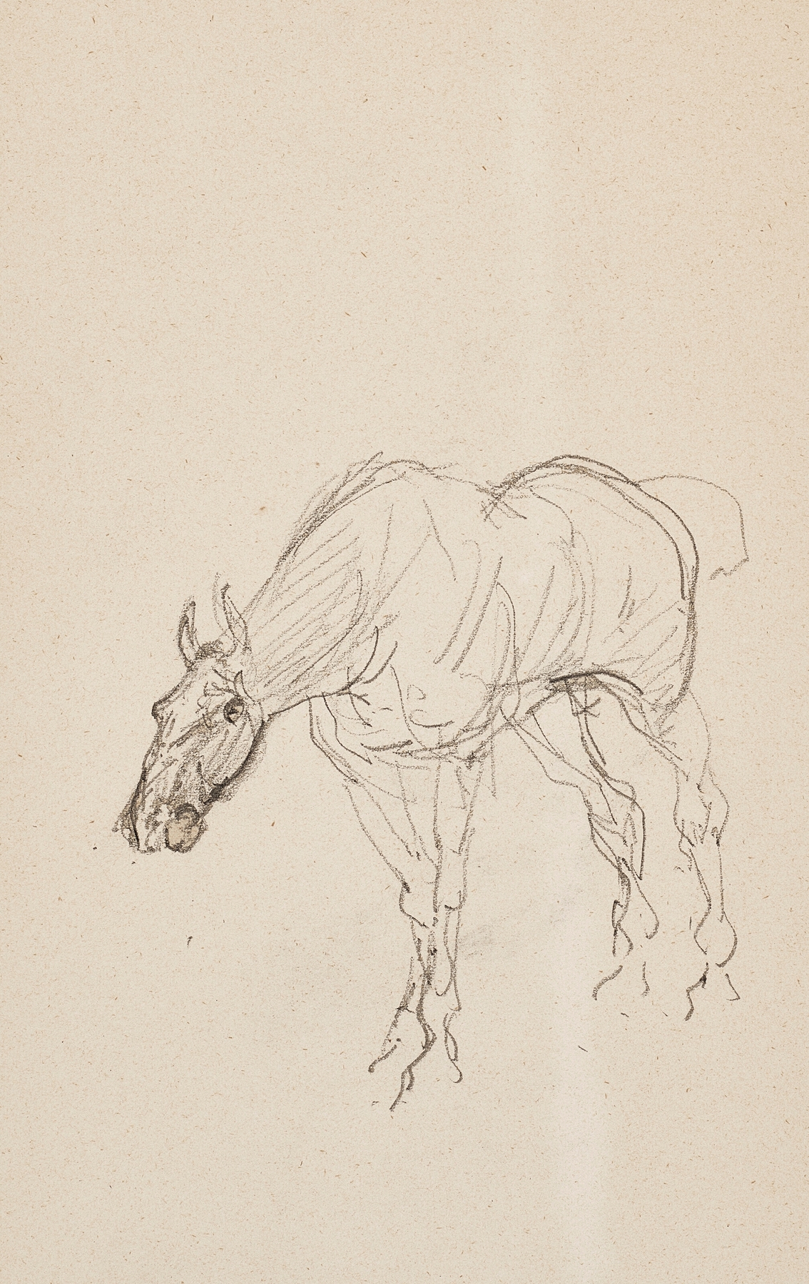 Cheval (1879-1881)