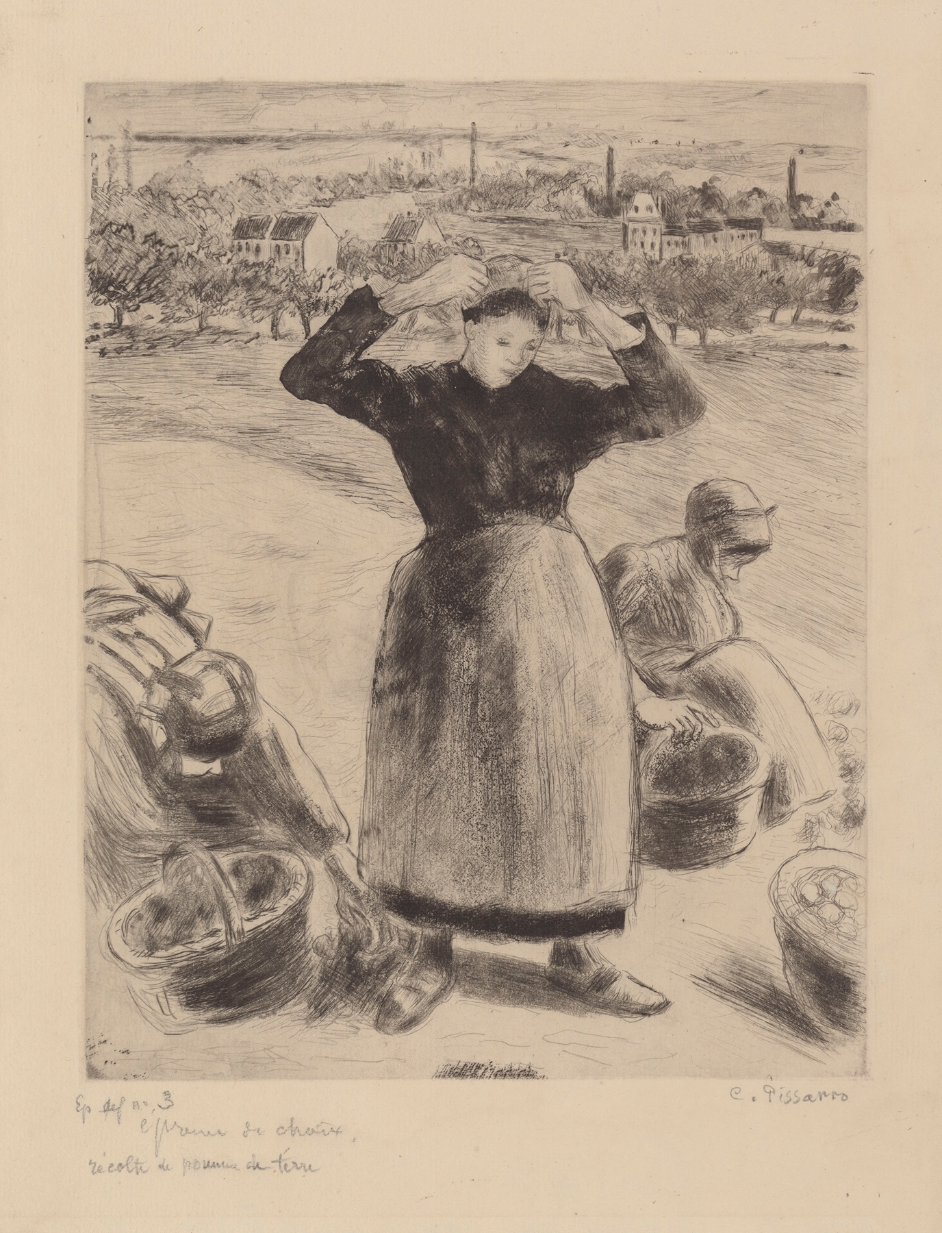 Récolte de pommes de terre (1886)