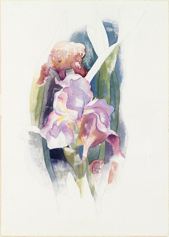Charles Demuth - Purple Iris