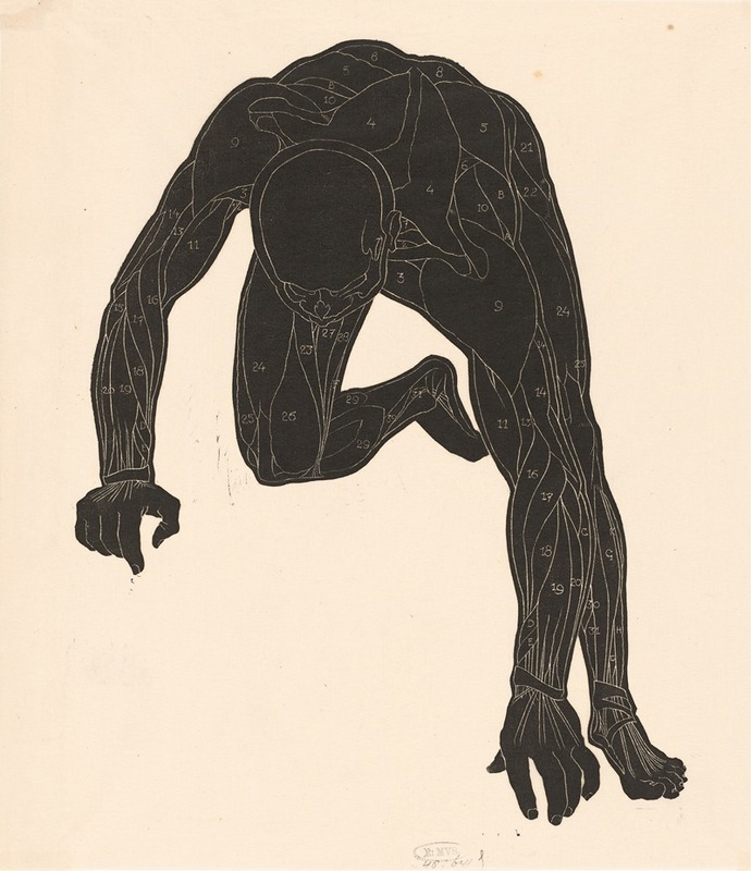 Reijer Stolk - Anatomical study of the neck, arm and leg muscles of a man in silhouette