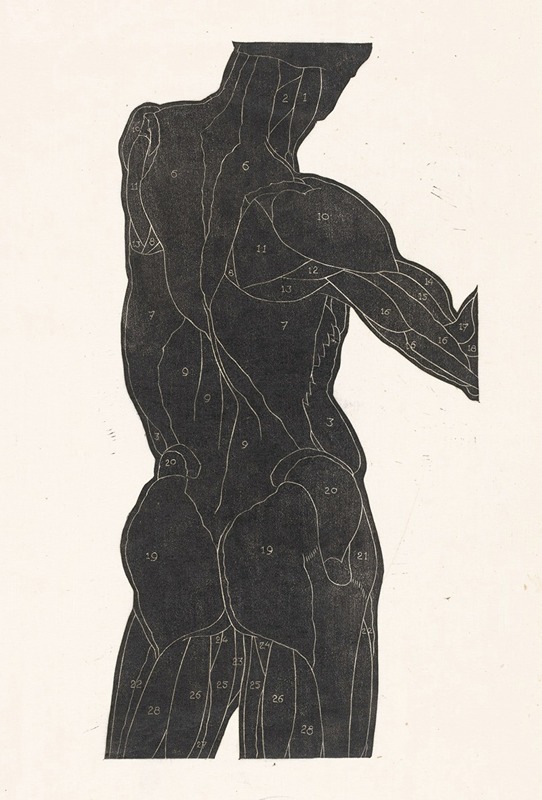 Reijer Stolk - Anatomische studie van de rug- en bilspieren van een man in silhouet