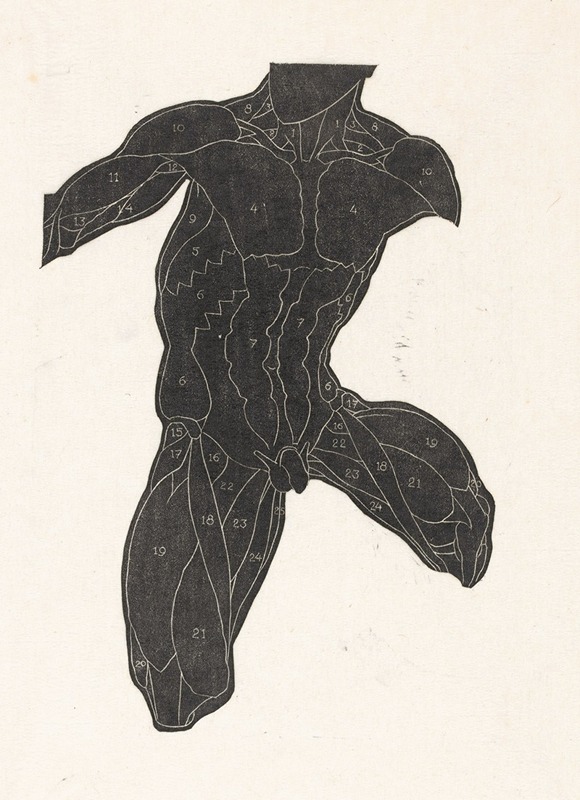 Reijer Stolk - Anatomische studie van de nek-, buik- en bovenbeenspieren van een man in silhouet