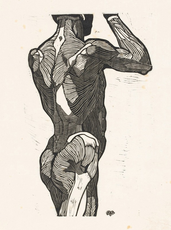 Reijer Stolk - Anatomische studie van de rug- en bilspieren van een man