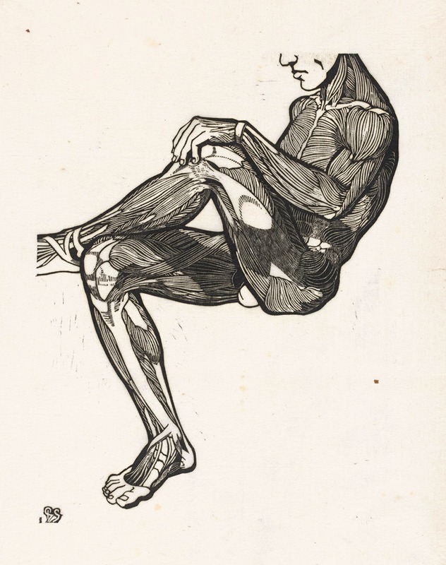 Reijer Stolk - Anatomische studie van de been- en armspieren van een man