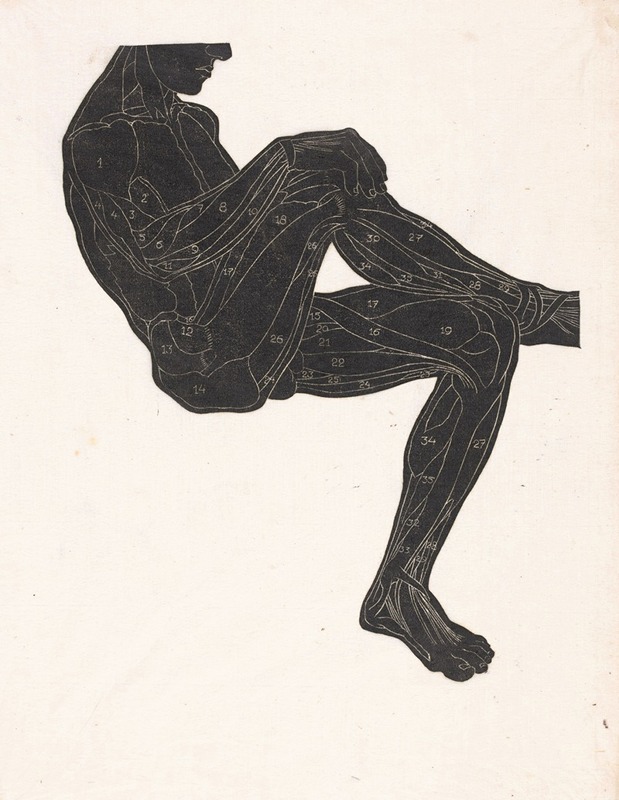 Reijer Stolk - Anatomische studie van de been- en armspieren van een man in silhouet