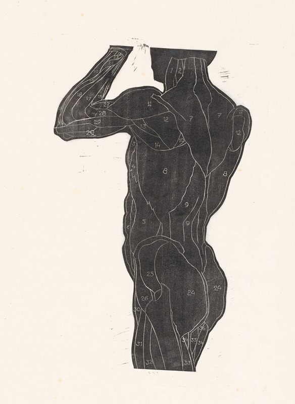 Reijer Stolk - Anatomische studie van de rug- en bilspieren van een man in silhouet