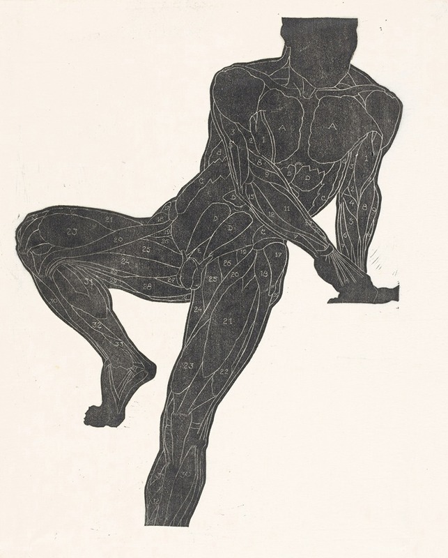 Reijer Stolk - Anatomische studie van de borst-, buik- en beenspieren van een man in silhouet