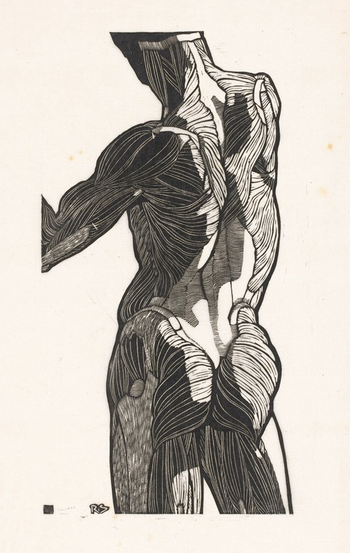 Reijer Stolk - Anatomische studie van de rug- en bilspieren van een man